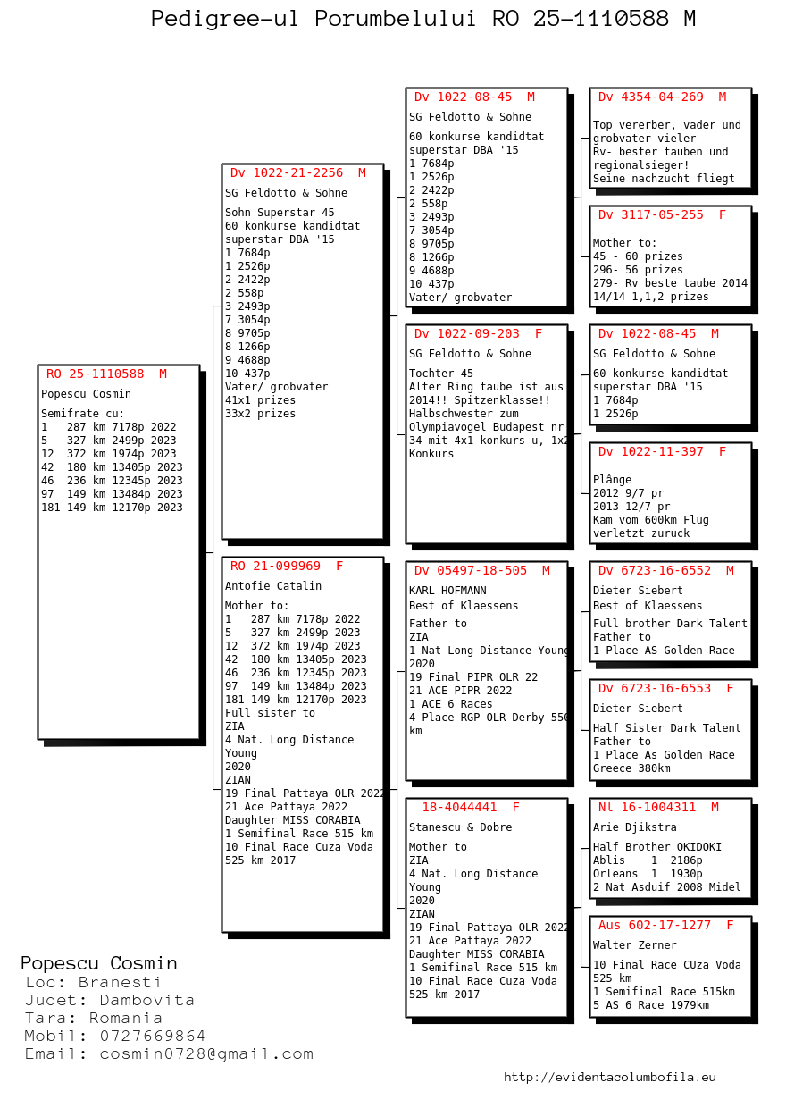 1110588-25 nepot/a Zia, loc 4 National Fond Pui 2020
