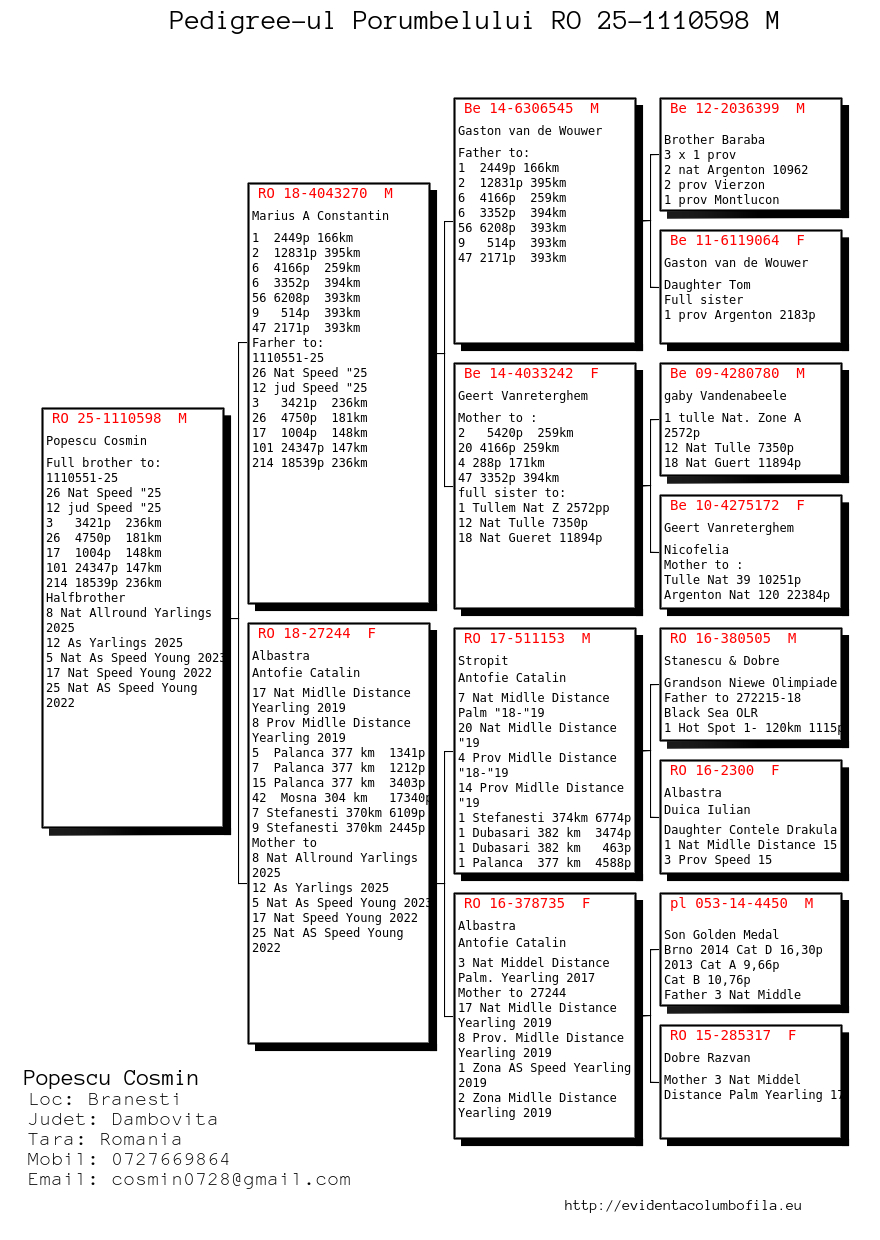 1110598-25 semi-frate / sora loc 8 National General Y. 2025