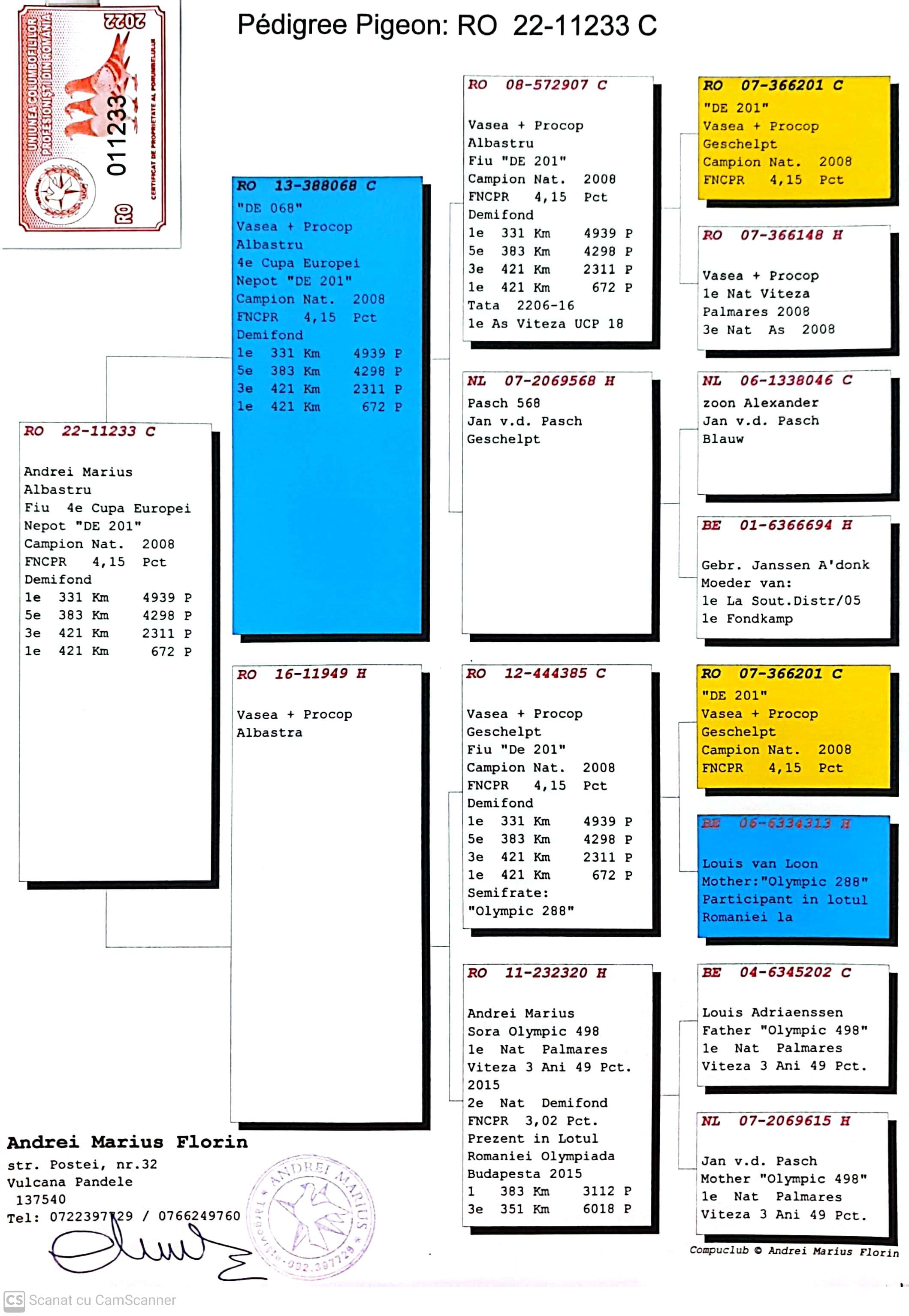 11233-22 M fiu loc 4 Cupa Europei 