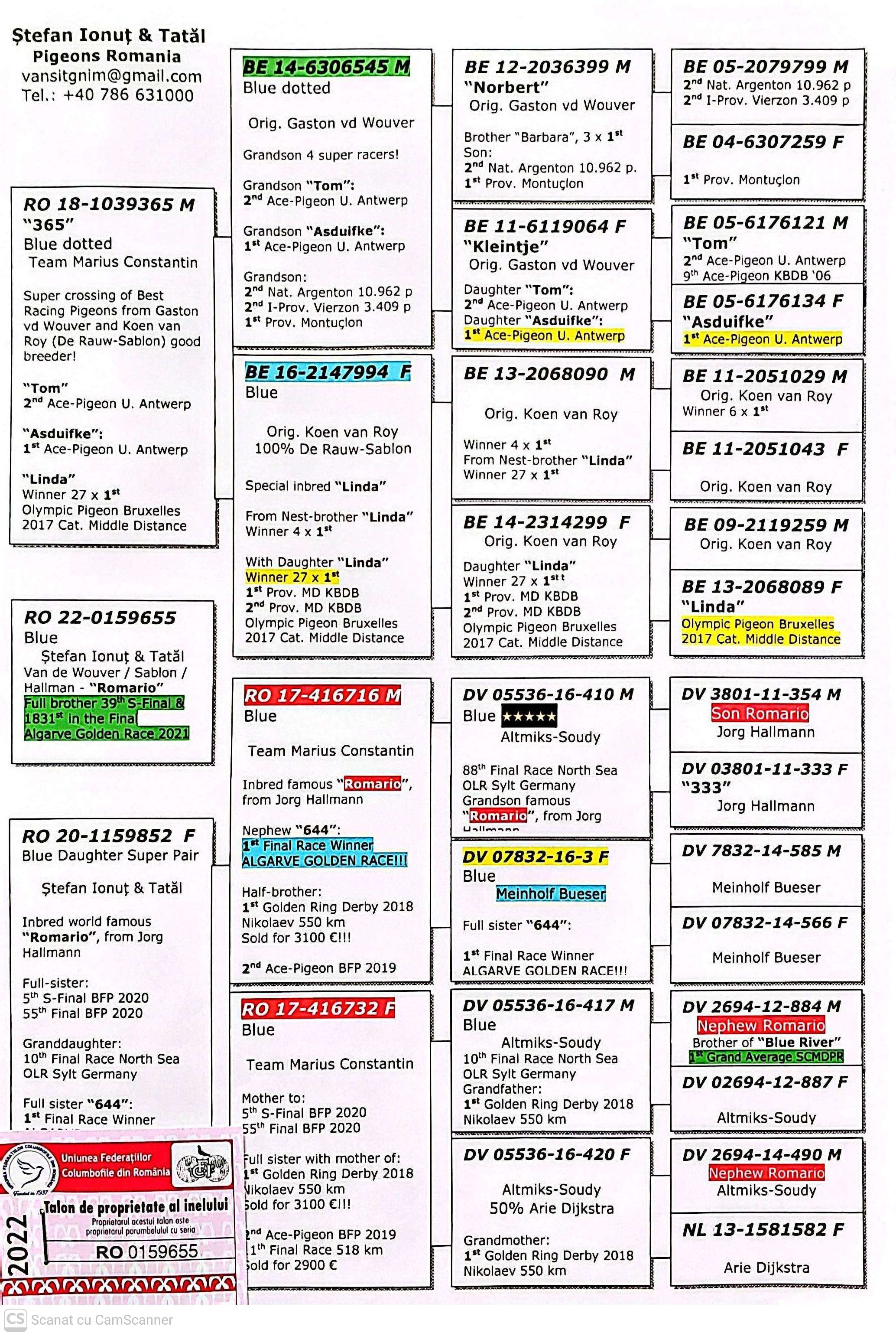 159655-22 F orig. Stefan Ionut + Tatal, consangvina Romario