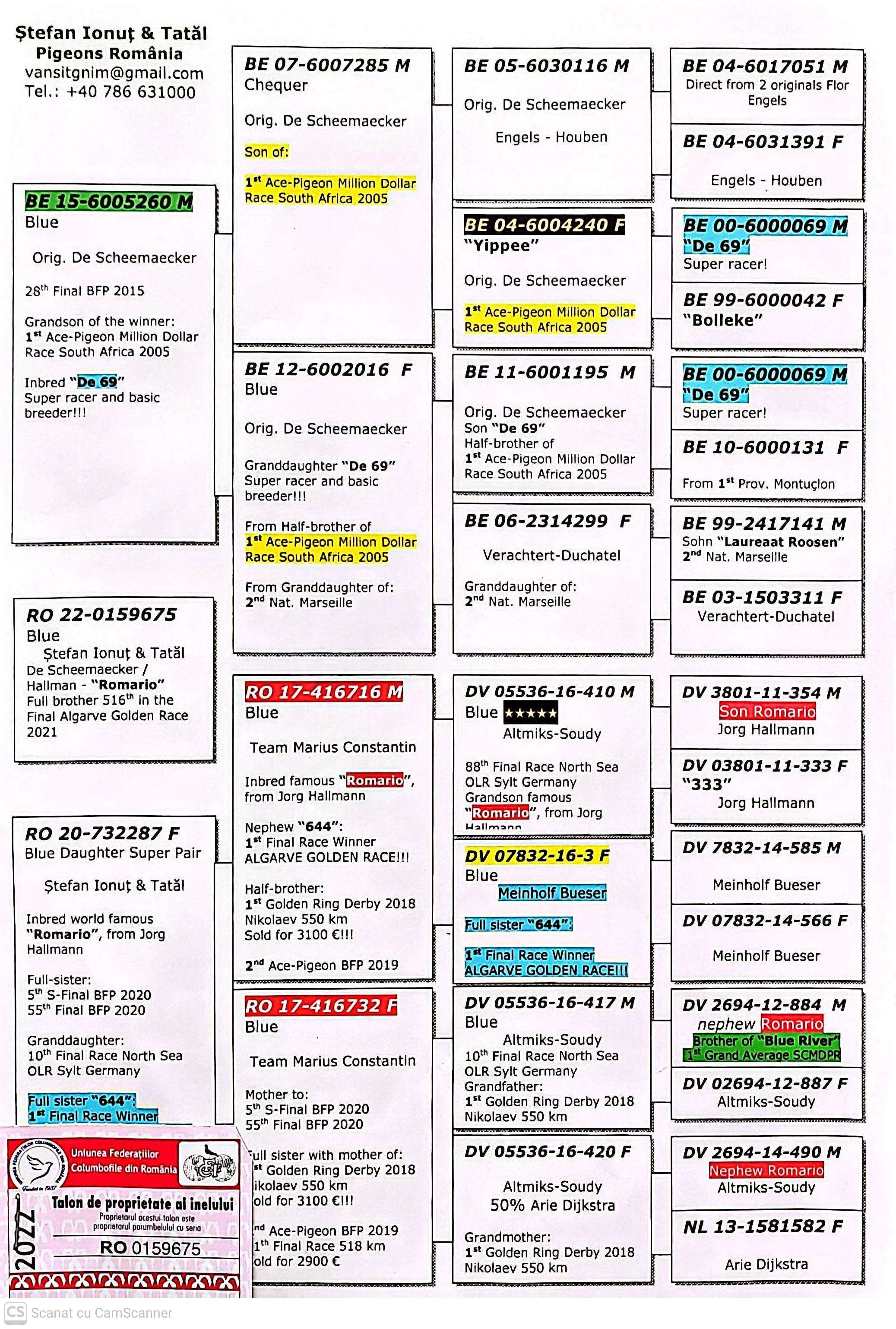 159675-22 F orig. Stefan Ionut + Tatal, consangvina Romario