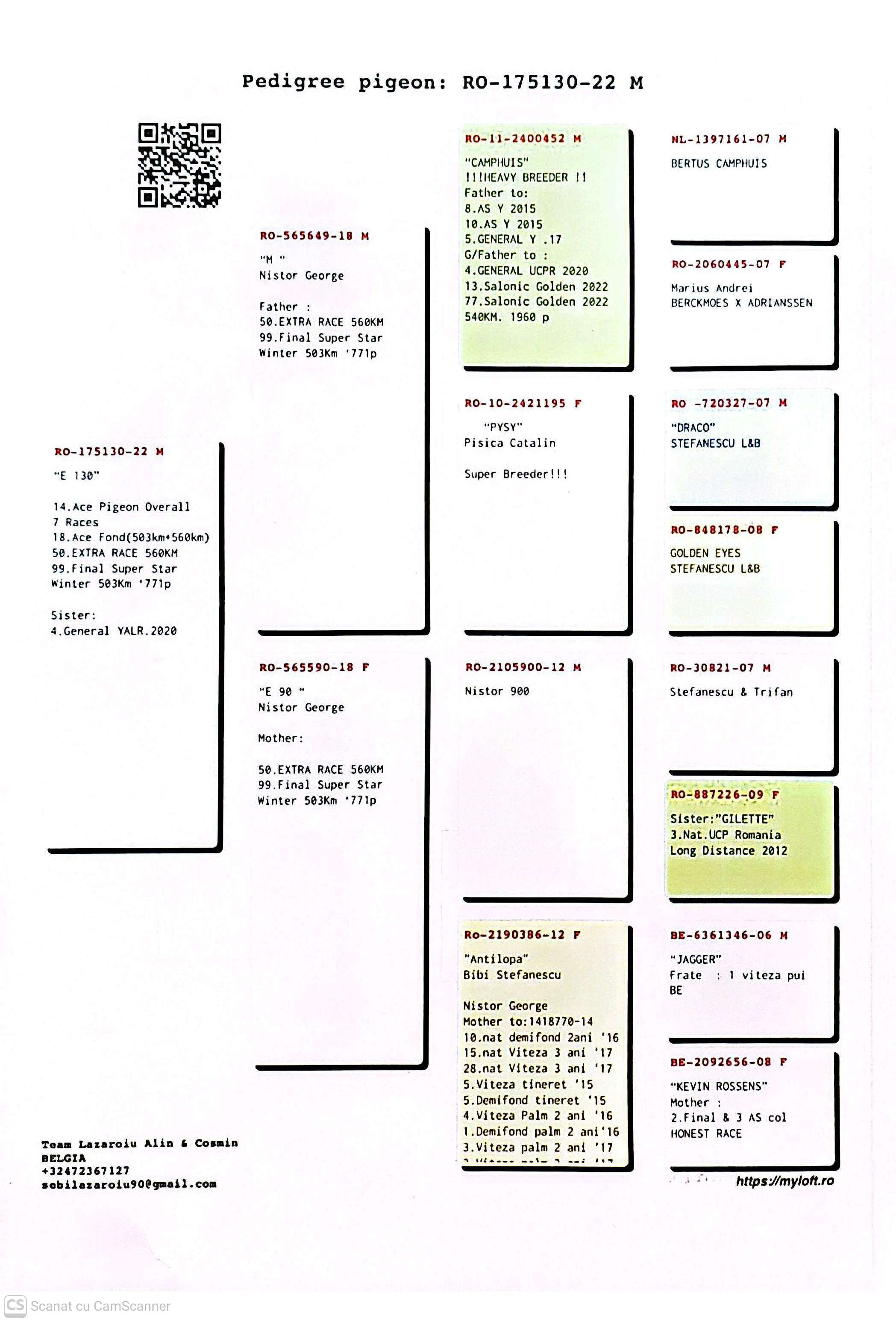 175130-22 F loc 14 AS din 7 etape Super Star Winter