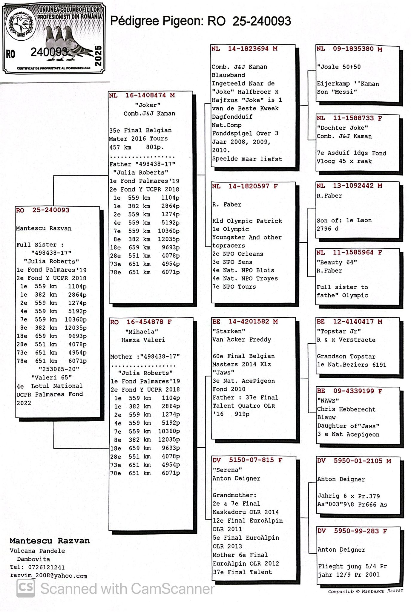 240093-25 sora Julia Roberts, Top Pair!