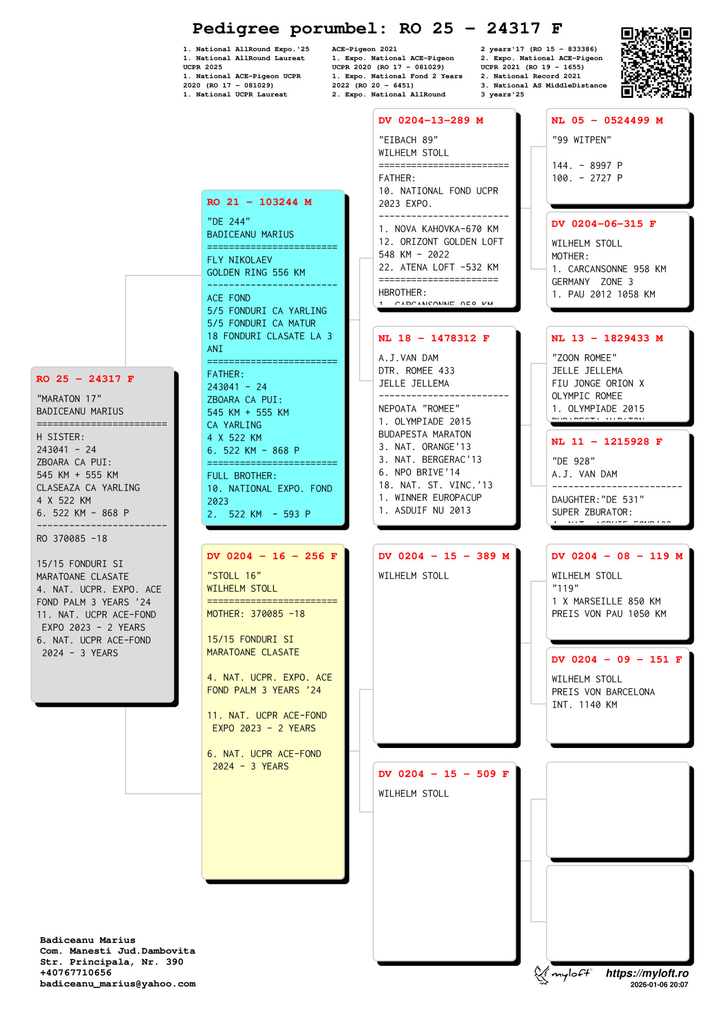 24317-25 F semi-sora loc 4 Nat. UCPR Expo. AS Fond Palm 3 Ani '24