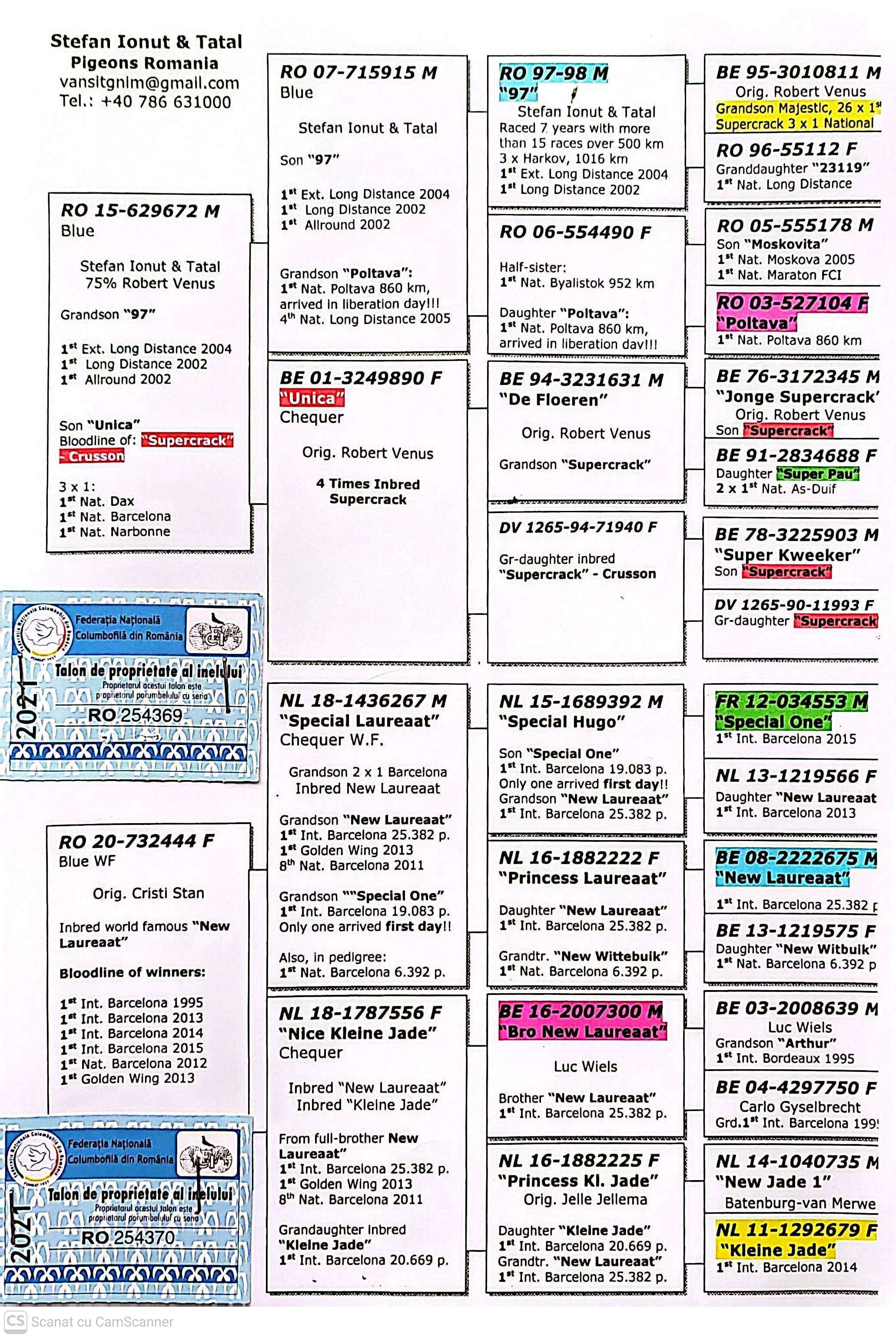 254370-21 M orig. Stefan Ionut + Tatal, line New Laureaat, Kleine Jade, Special One
