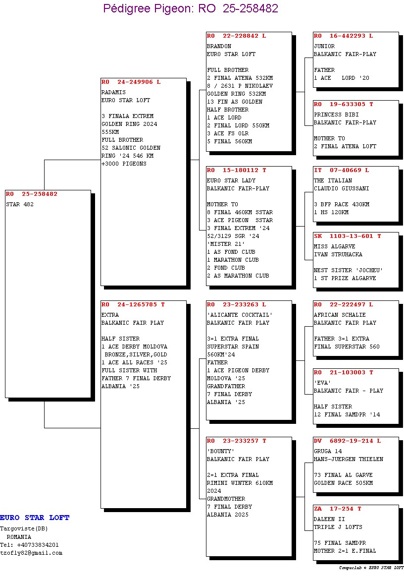 258482-25 fiu / fiica loc 3 Finala Extrem Golden Ring 2024