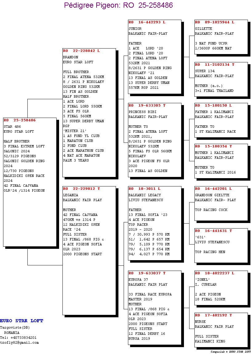258486-25 semi-frate loc 3 Finala Extrem Loft Salonic 2024