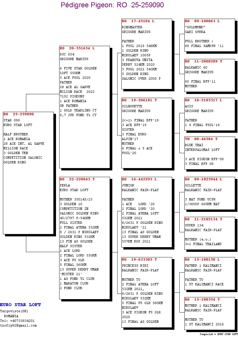 259090-25 semi-frate-sora loc 1 AS RO / loc 28 AS Int. Algarve Million Race