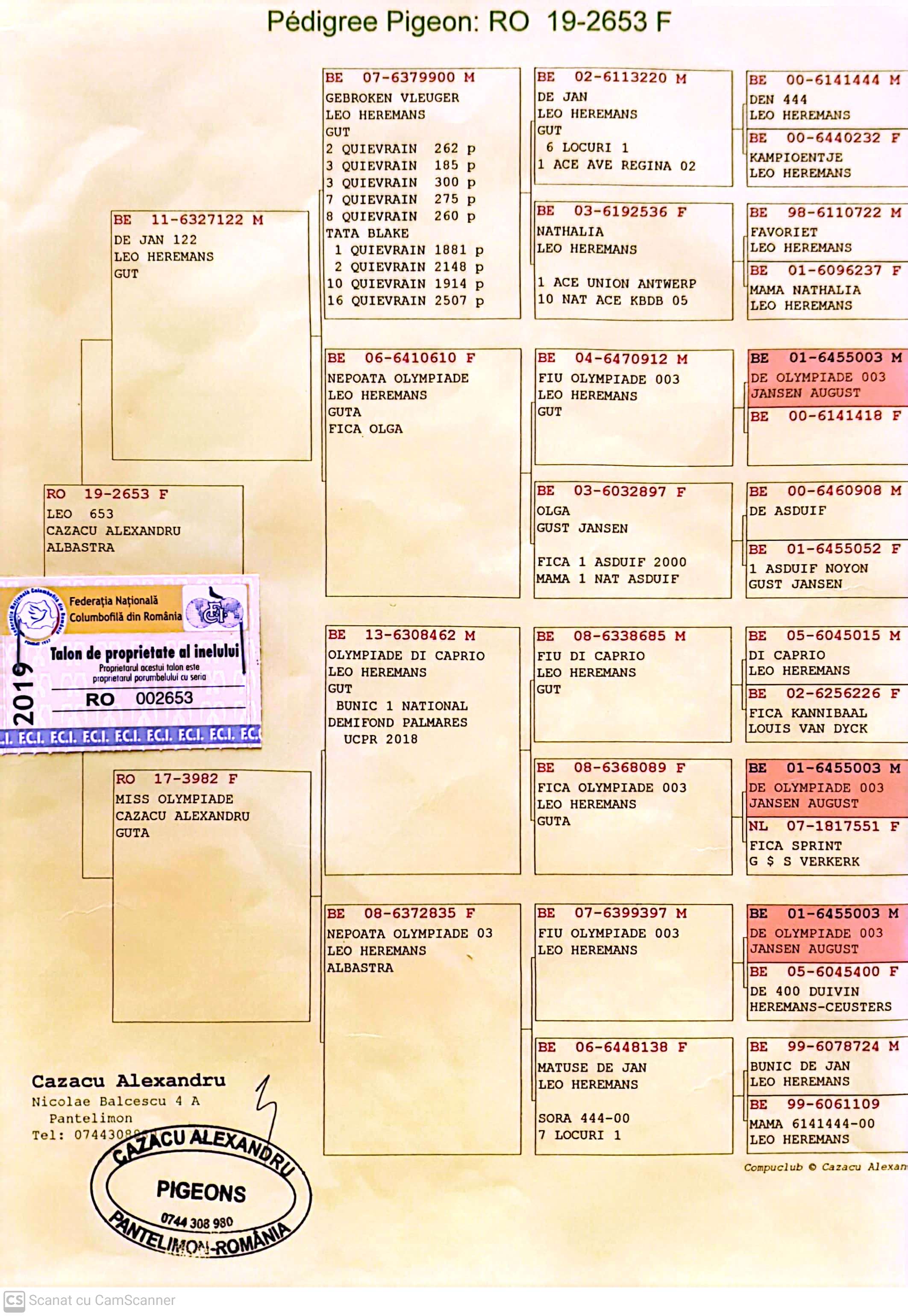 2653-19 F orig. Cazacu Alexandru, consangvina Olympiade 003