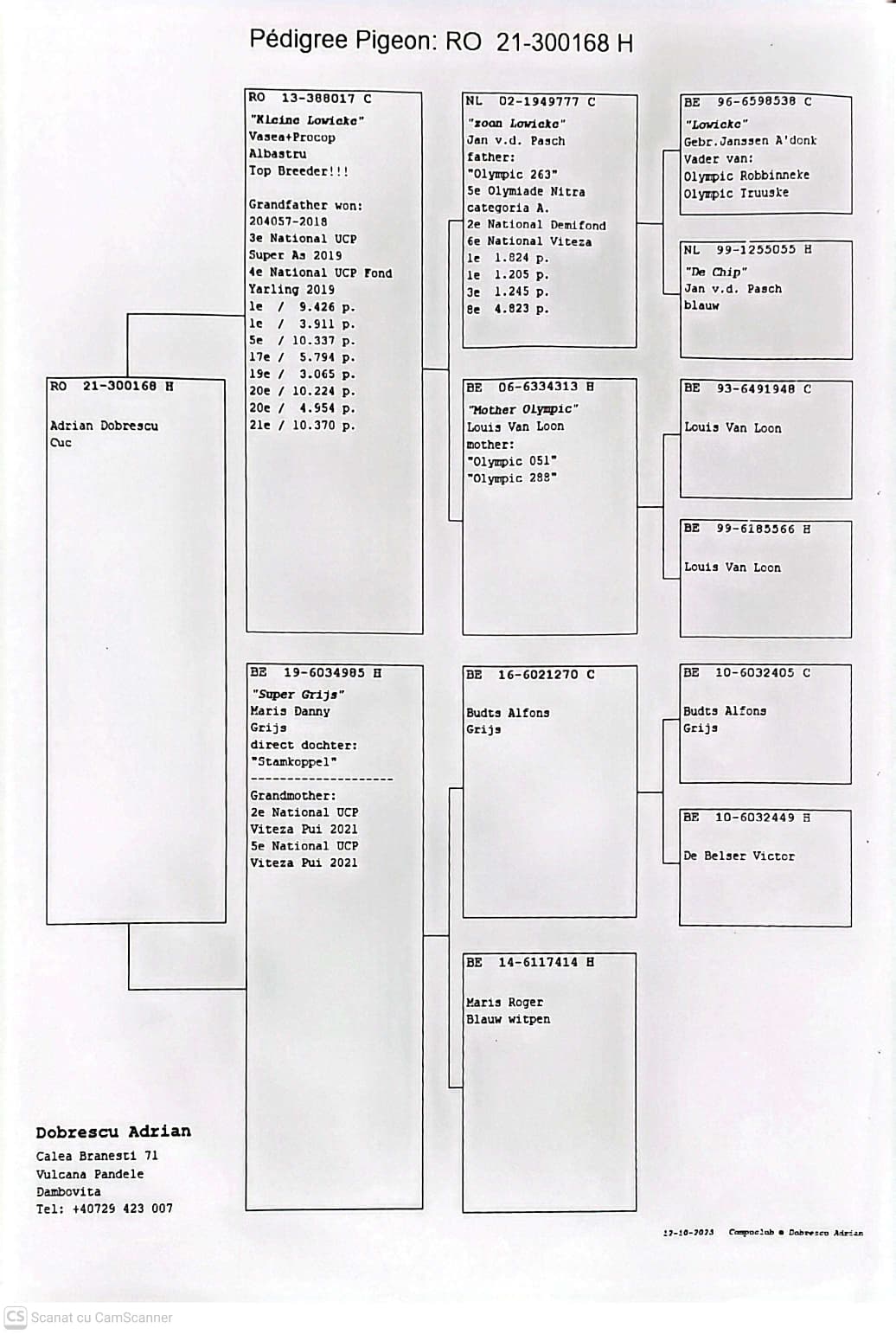 300168-21 F orig. Adrian Dobrescu, linie Lowieke