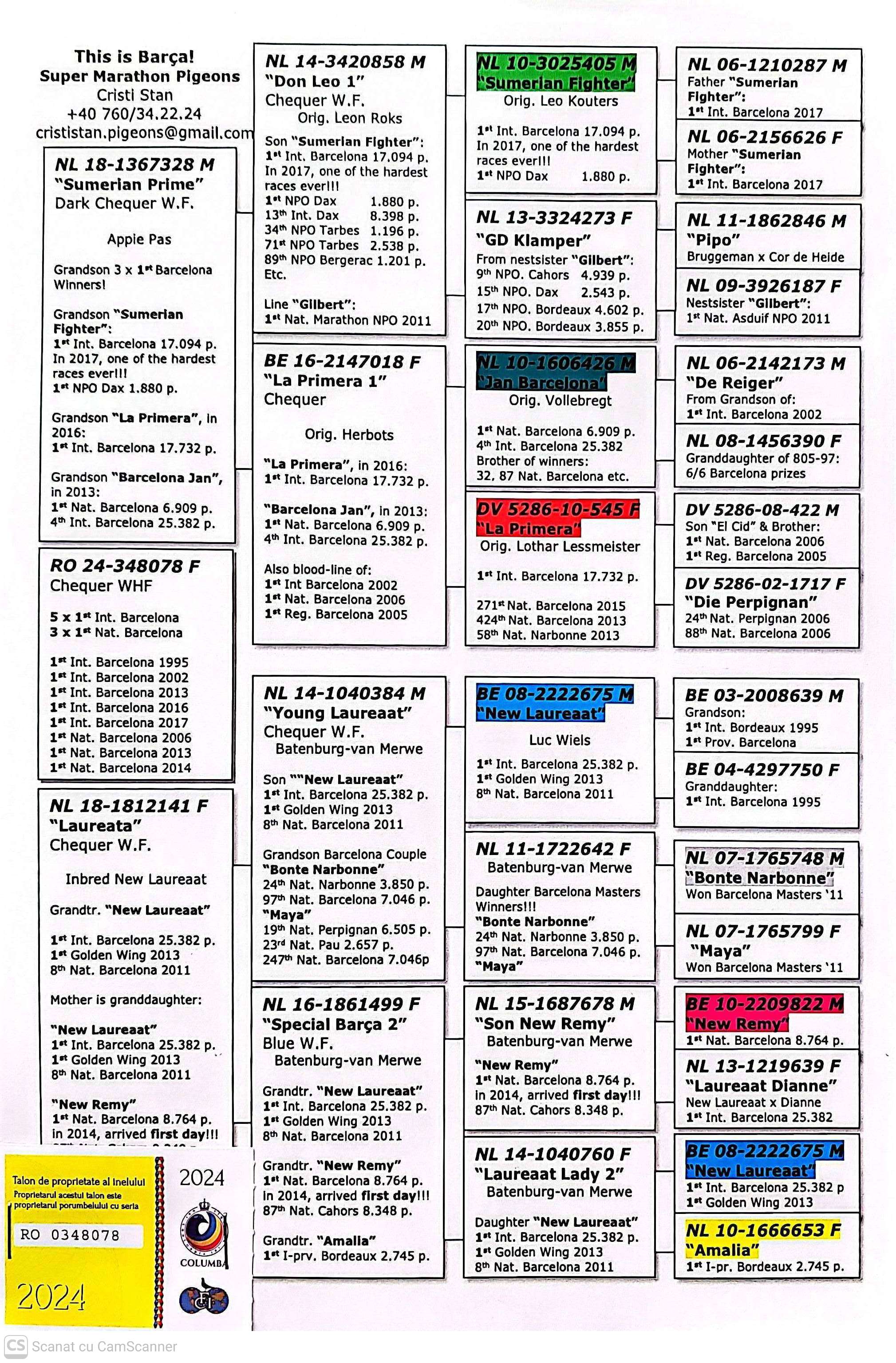 348078-24 F orig. Stefan Ionut + Tatal, linie New Laureaat, New Remy