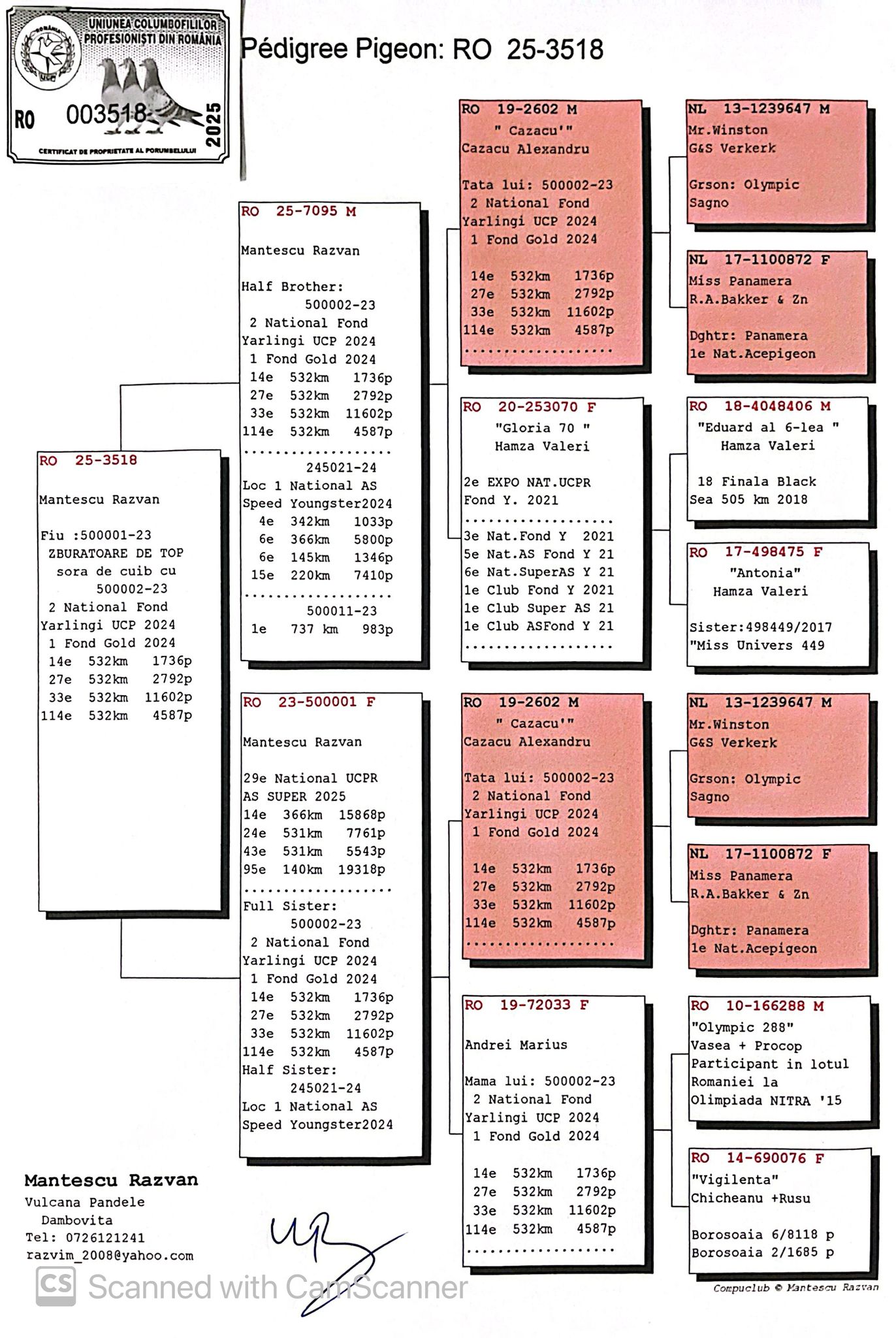 3518-25 fiu 500001 Zburatoare de TOP, consangvin pe tata la 2 Campioni Nationali