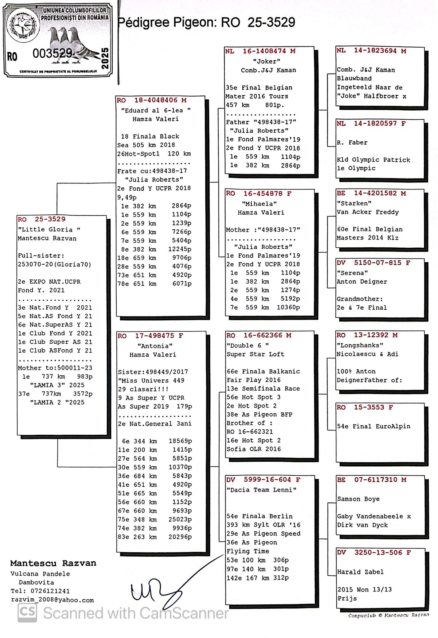 3529-25 sora Gloria 70, TOP Pair!