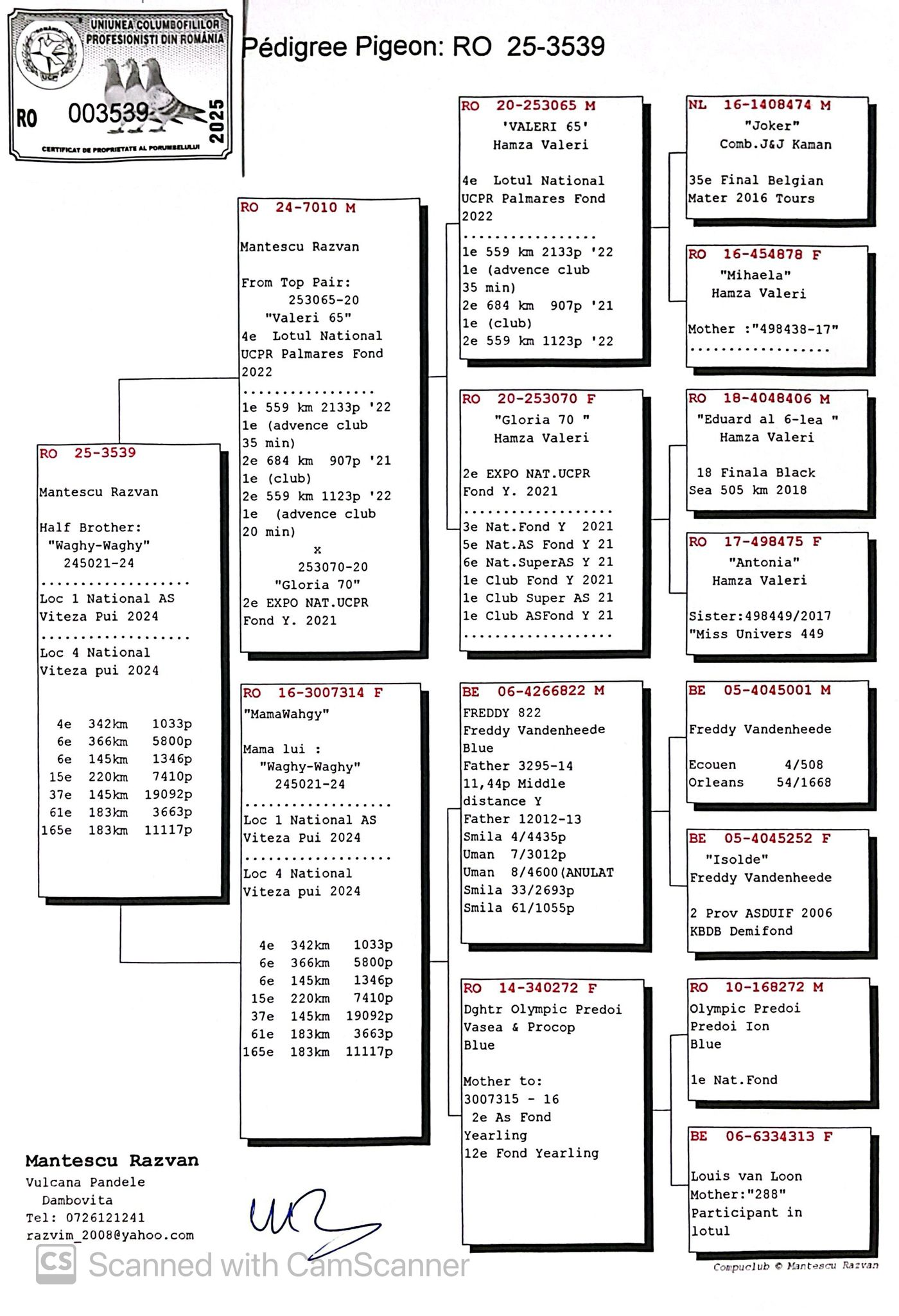 3539-25 semi-frate Waghy-Waghy, Campion Nat. AS Viteza Pui 2024