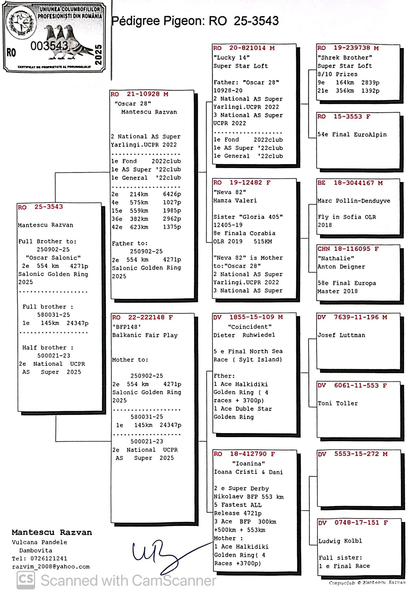 3543-25 frate loc 2 Lansare Salonic Golden Ring 2025