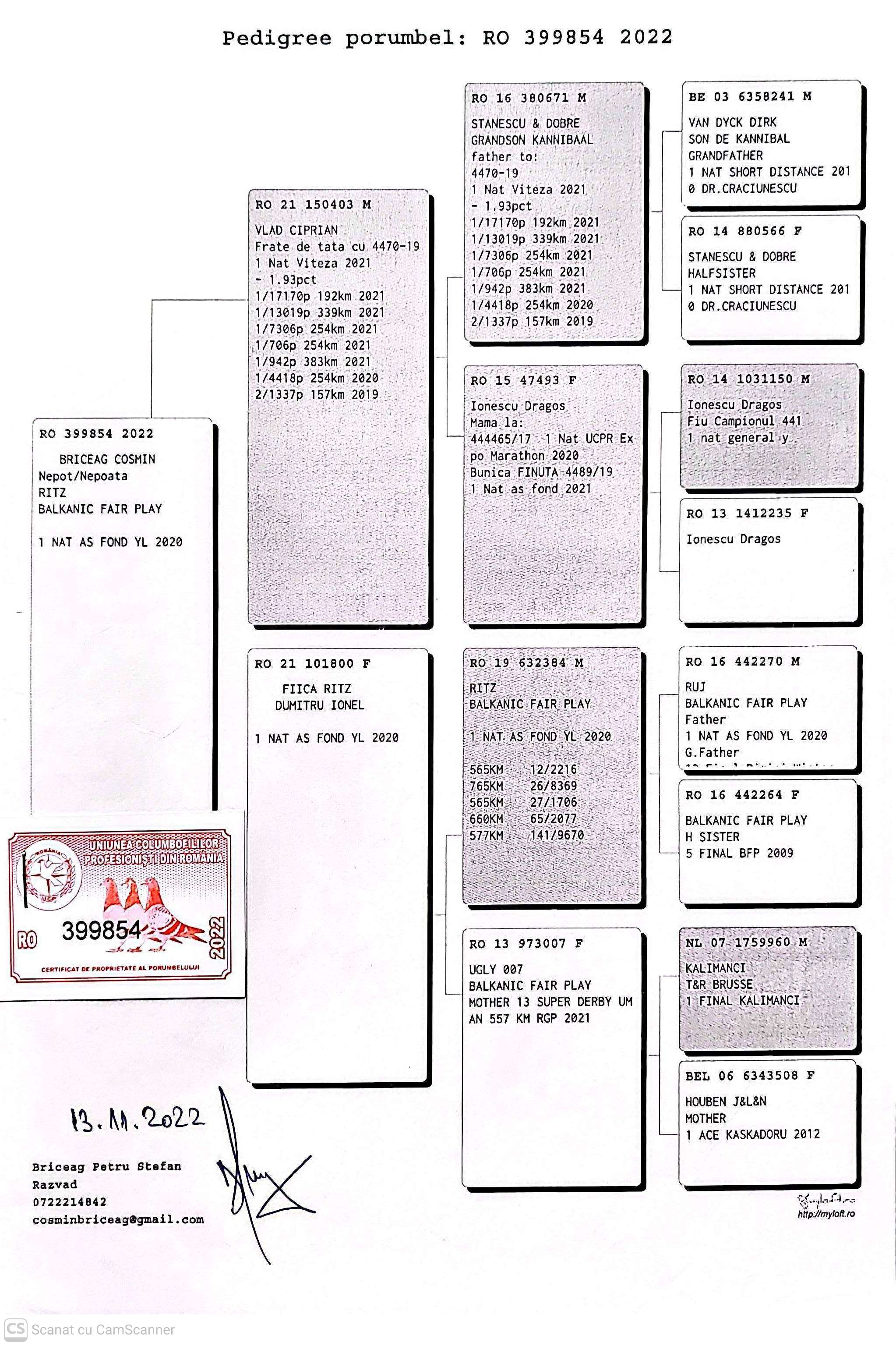 399854-22 M orig. Briceag Cosmin, nepot Ritz loc 1 Nat. AS Fond YL 2020