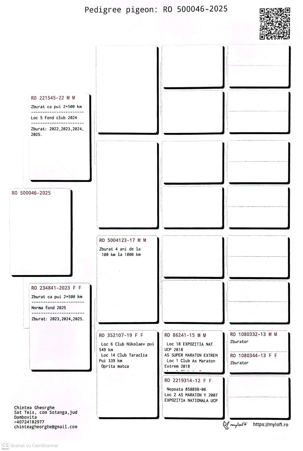 500046-25 M orig. Chirnea Gheorghe, fiu loc 5 Fond Club 2024