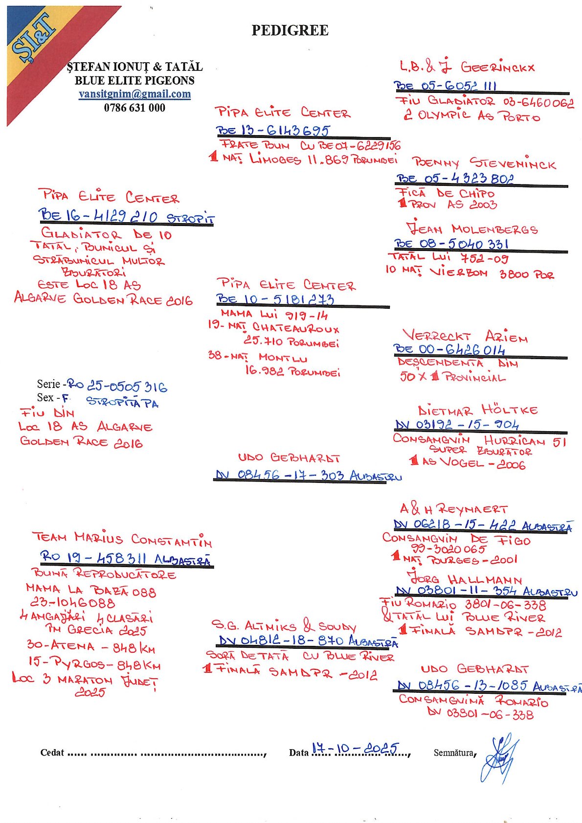 505316-25 M fiu loc 18 AS Algarve Golden RAce 2016
