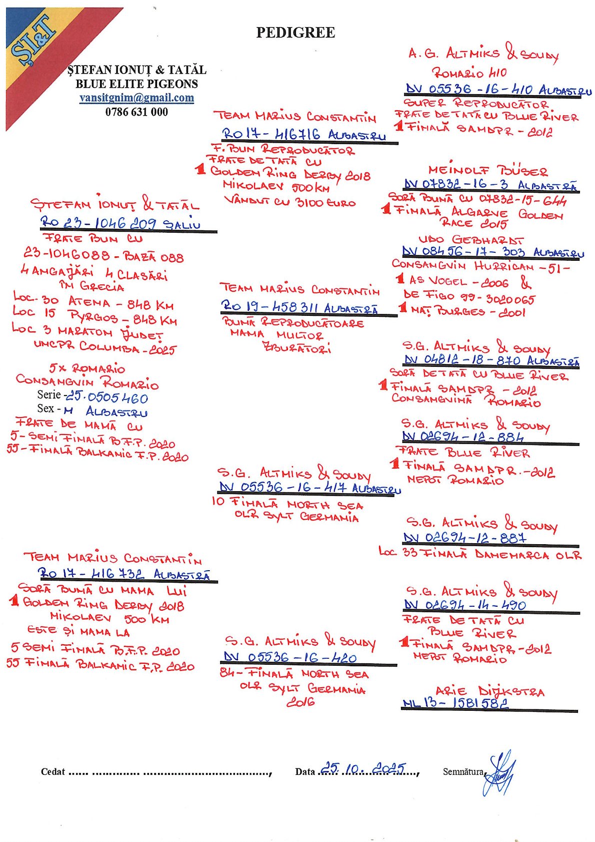 505460-25 M semi-frate loc 5 Semi-Finala, loc 55 Finala BFP '20, linie Romario