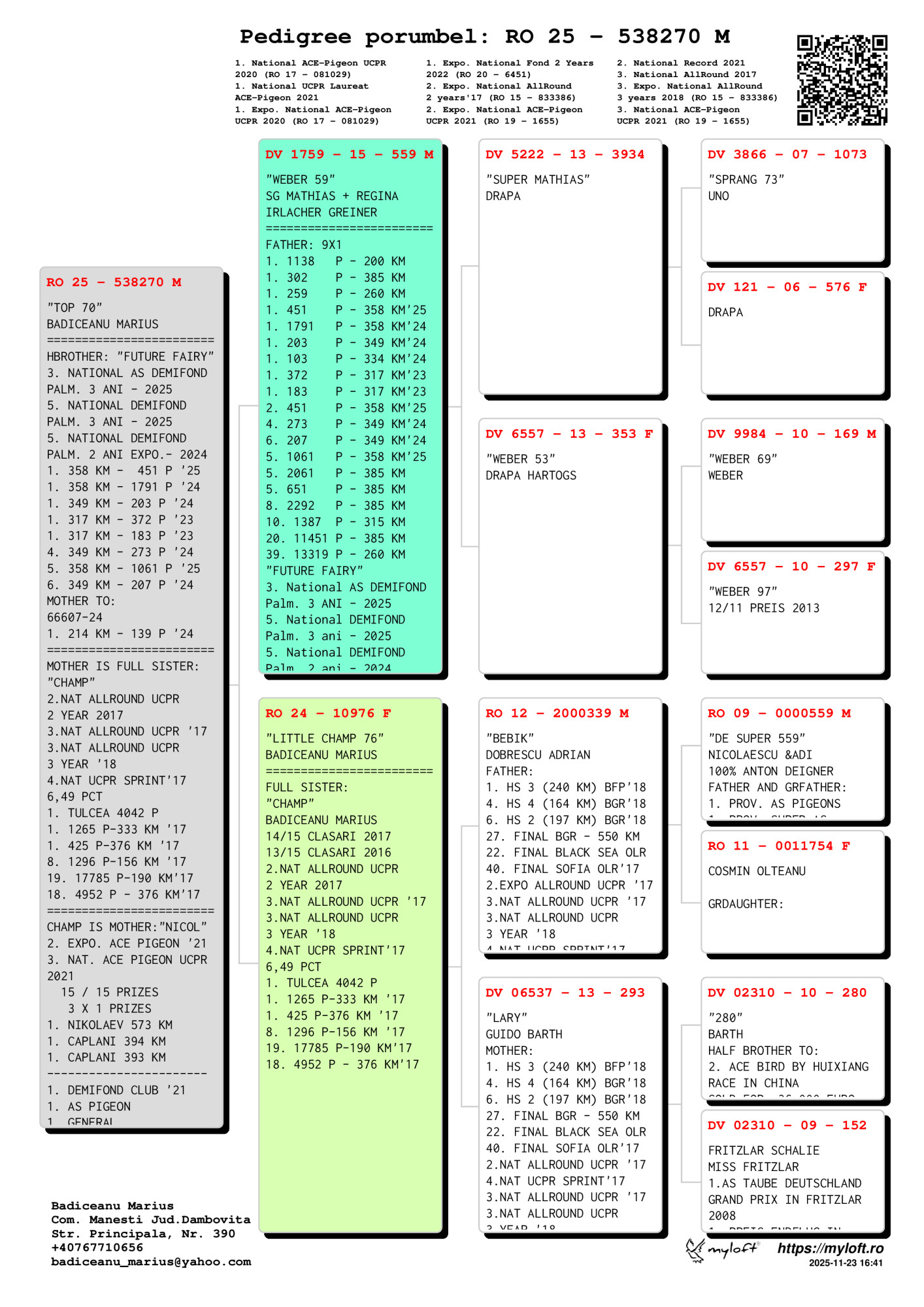 538270-25M semi-frate loc 3 Nat. AS Demi-Fond Palmares 3 ani 2025