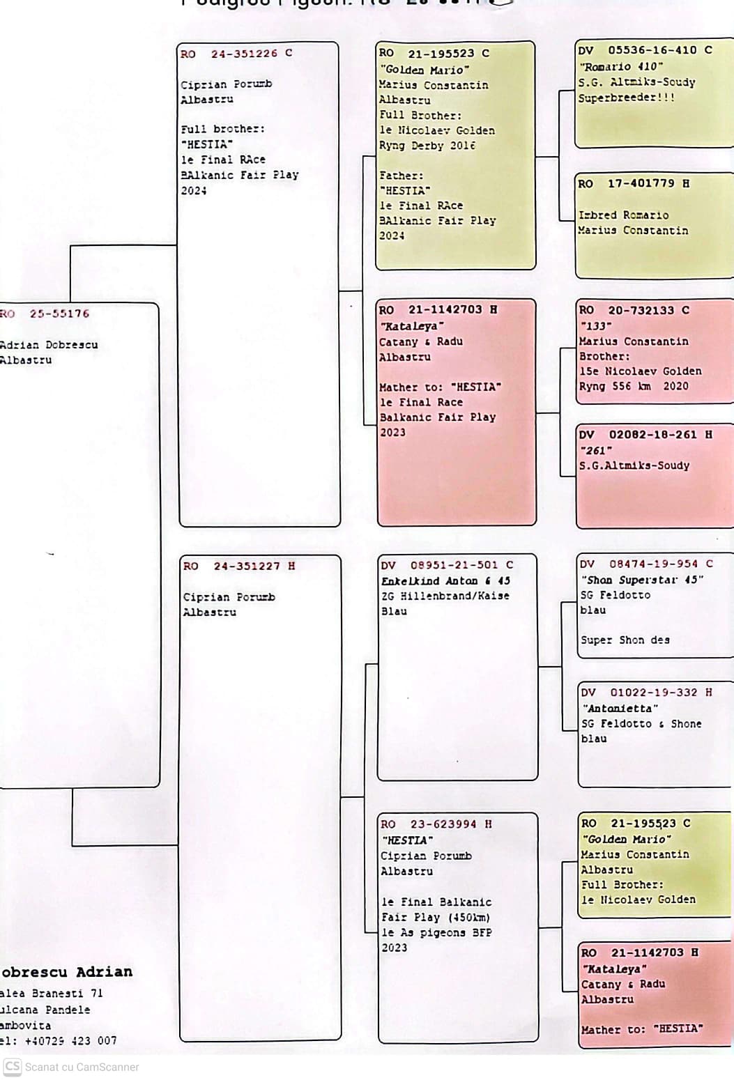 55126-25 M orig. Adrian Dobrescu, consangvin loc 1 Finala BFP 2024