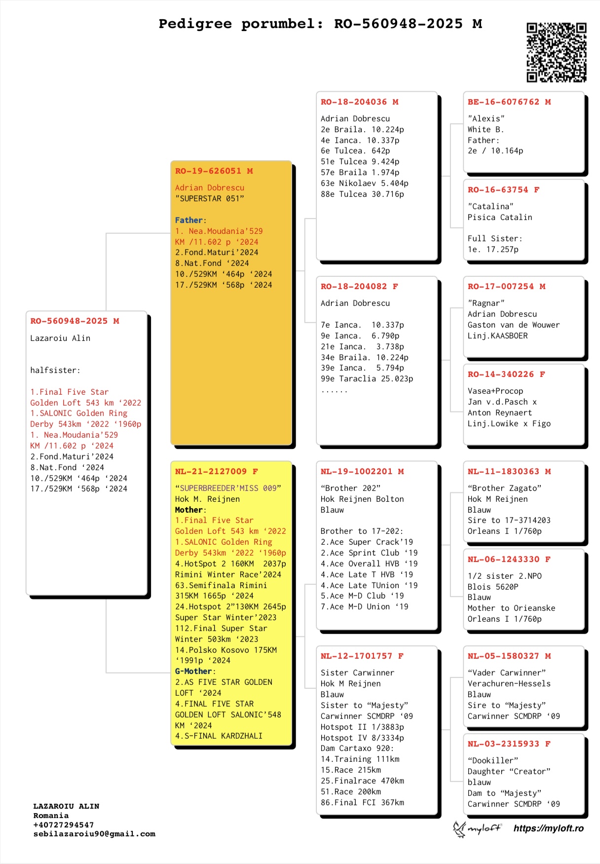 560948-25 semi-frate loc 1 Finala Five Star Golden Loft 543Km '22