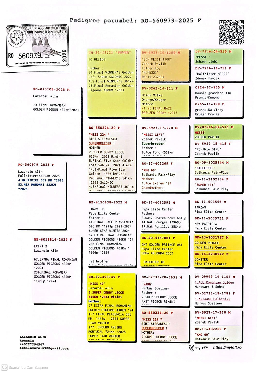 560979-25 F sora loc 4 Halkidiki 552Km