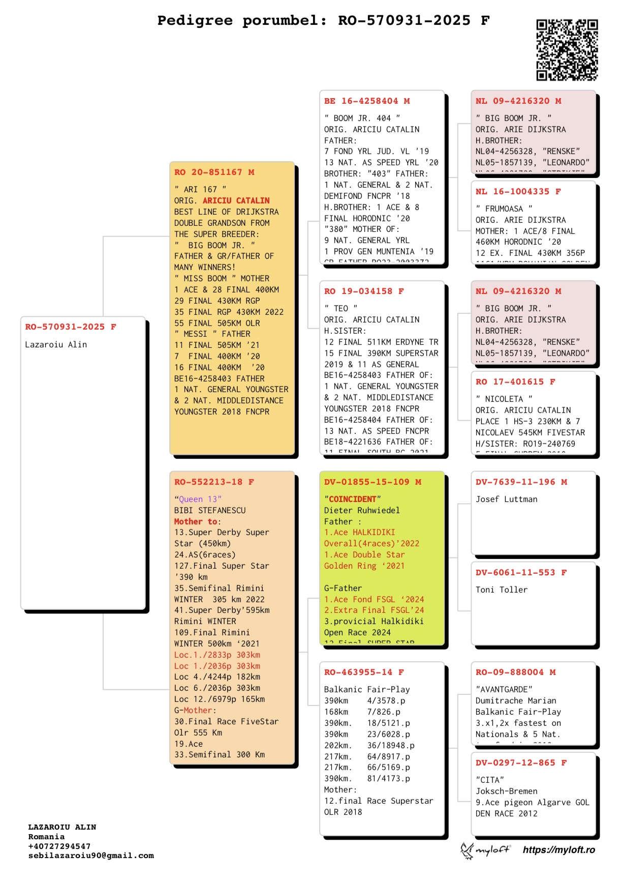 570931-25 semi-sora loc 13 Super Derby Super Star, linie Big Boom Jr.