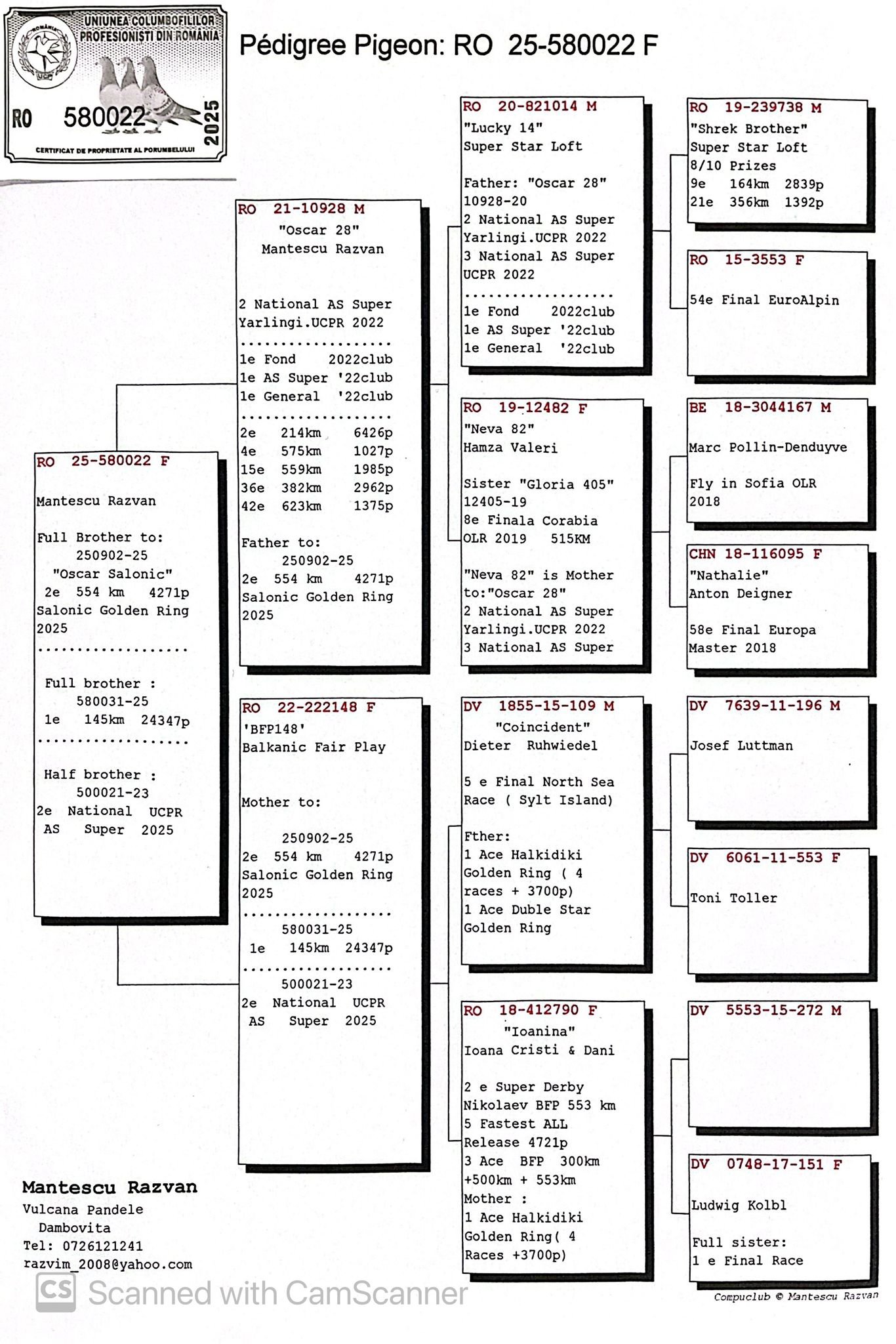580022-25 sora loc 2 Lansare Salonic Golden Ring 2025