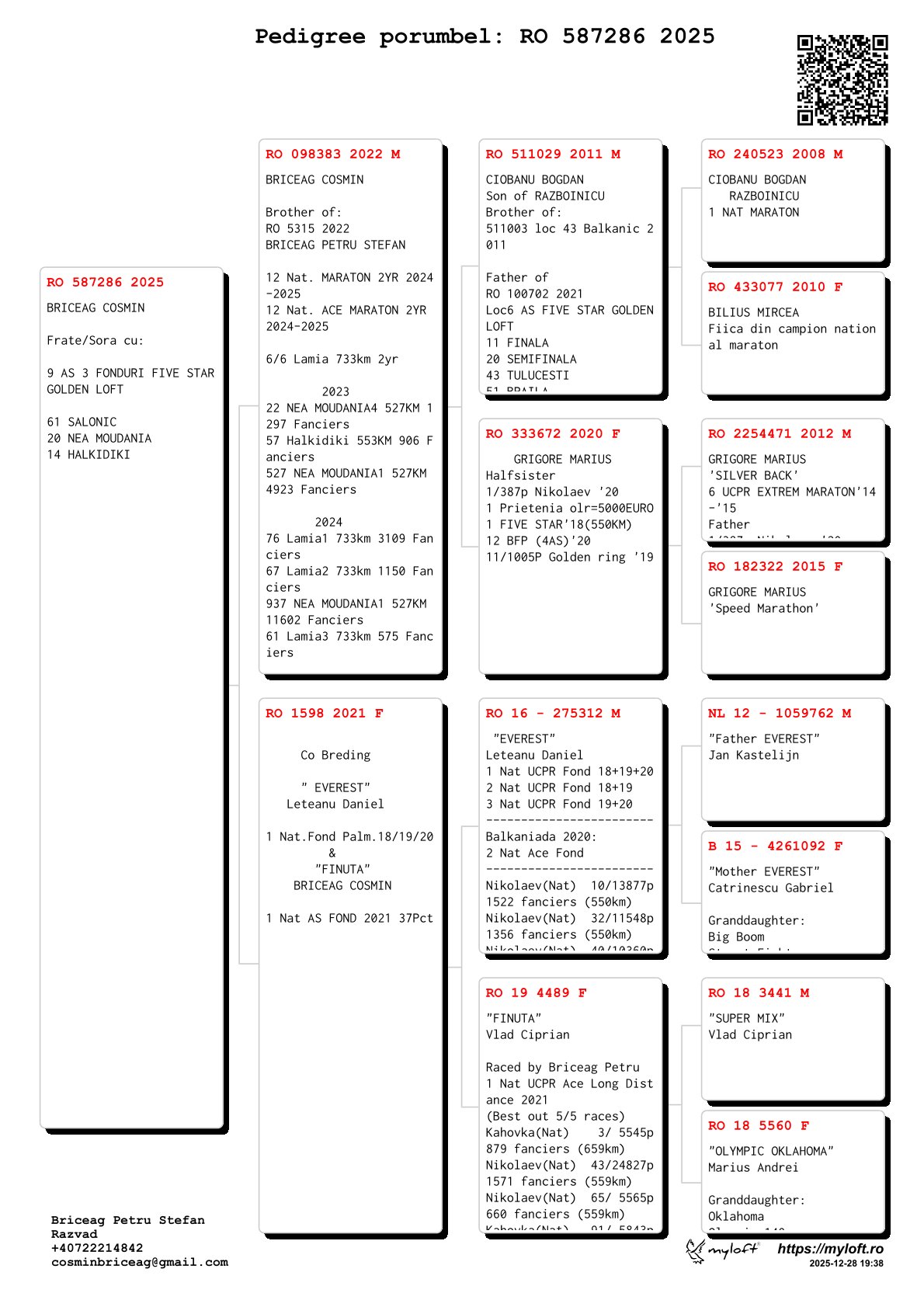 587286-25 frate / sora loc 9 AS 3 Fonduri Five Star Golden Loft
