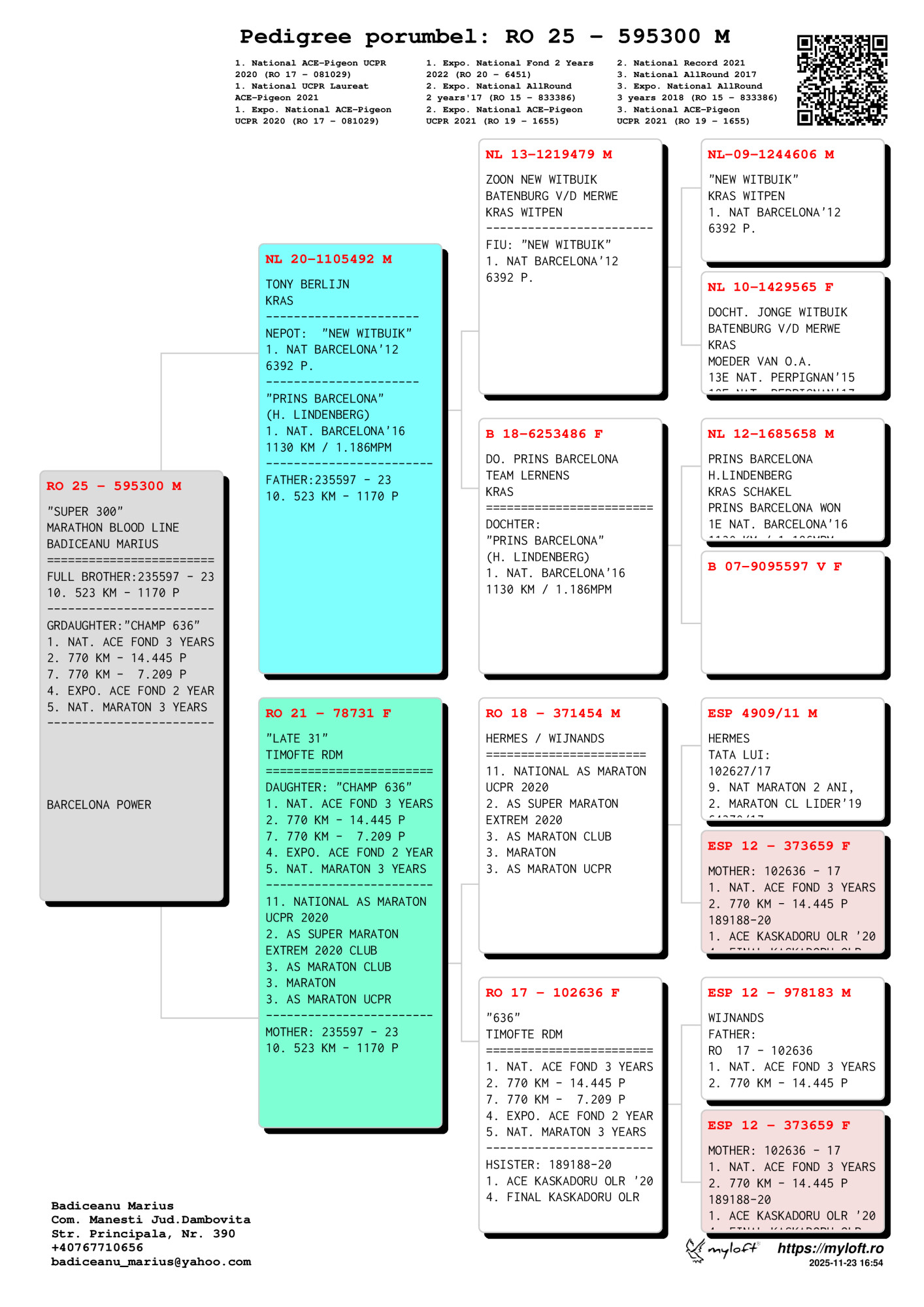 595300-25M nepot Champ 636, loc 1 Nat. AS Fond 3 ani 