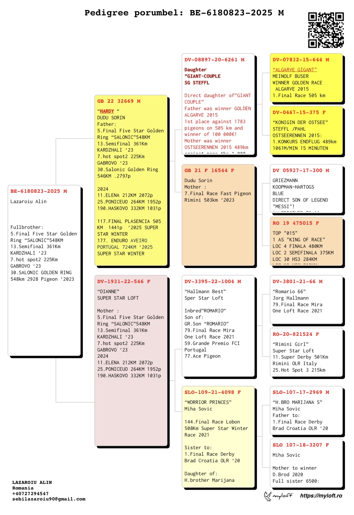 6180823-25 frate loc 5 Finala Five Star Golden Ring 2023