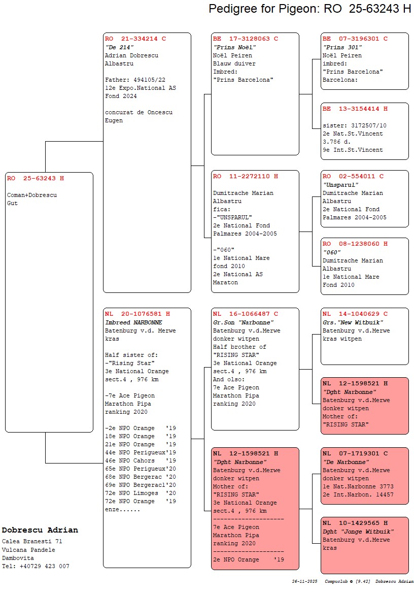 63243-25 semi-sora loc 12 Expo. National AS Fond 2024