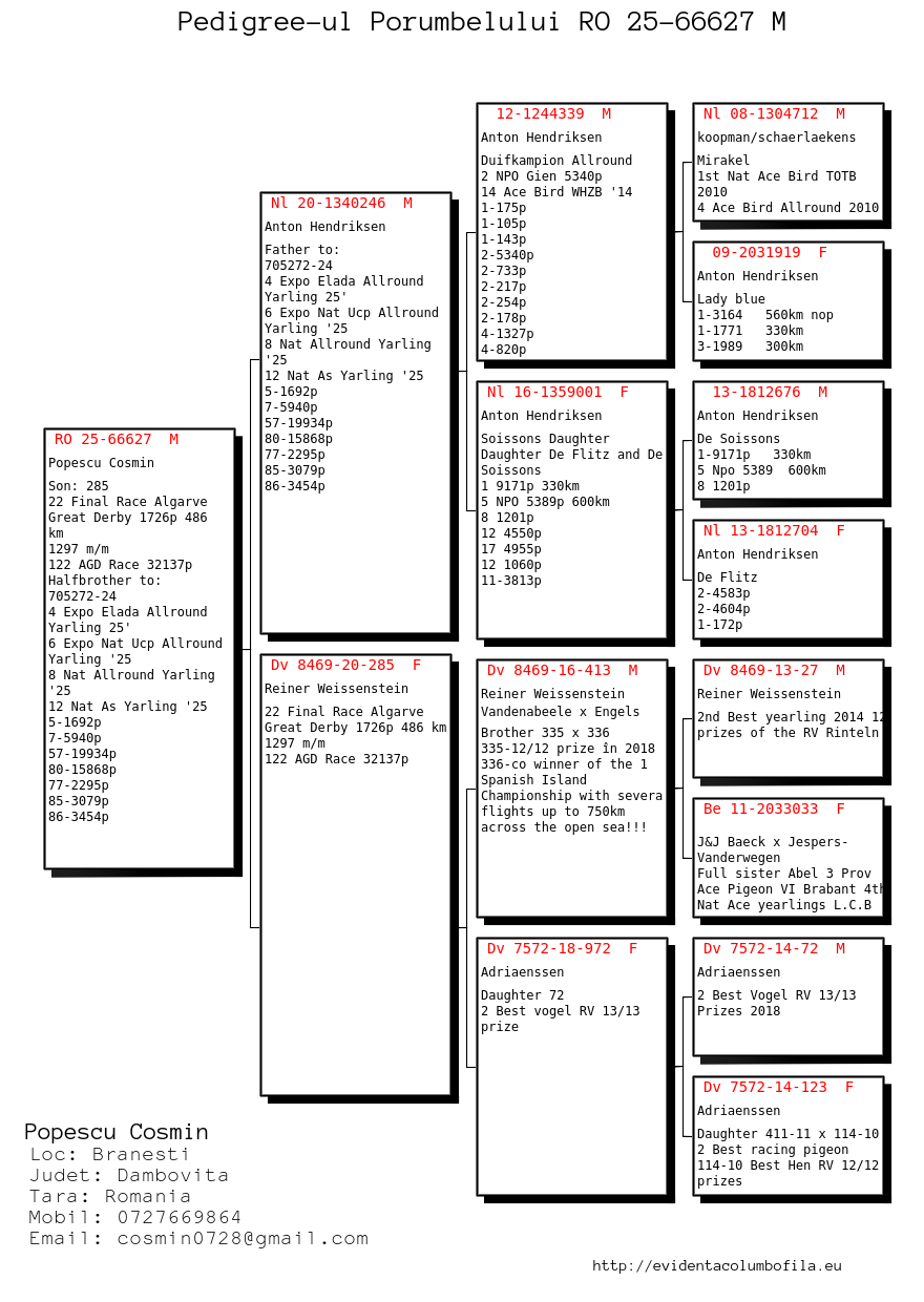 66627-25 fiu / fiica loc 22 Finala Algarve Great Derby 486 Km