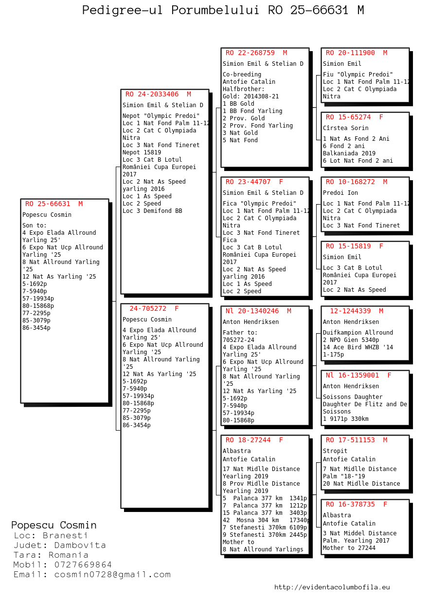 66631-25 fiu / fiica loc 4 Expo Elada General Y. 2025