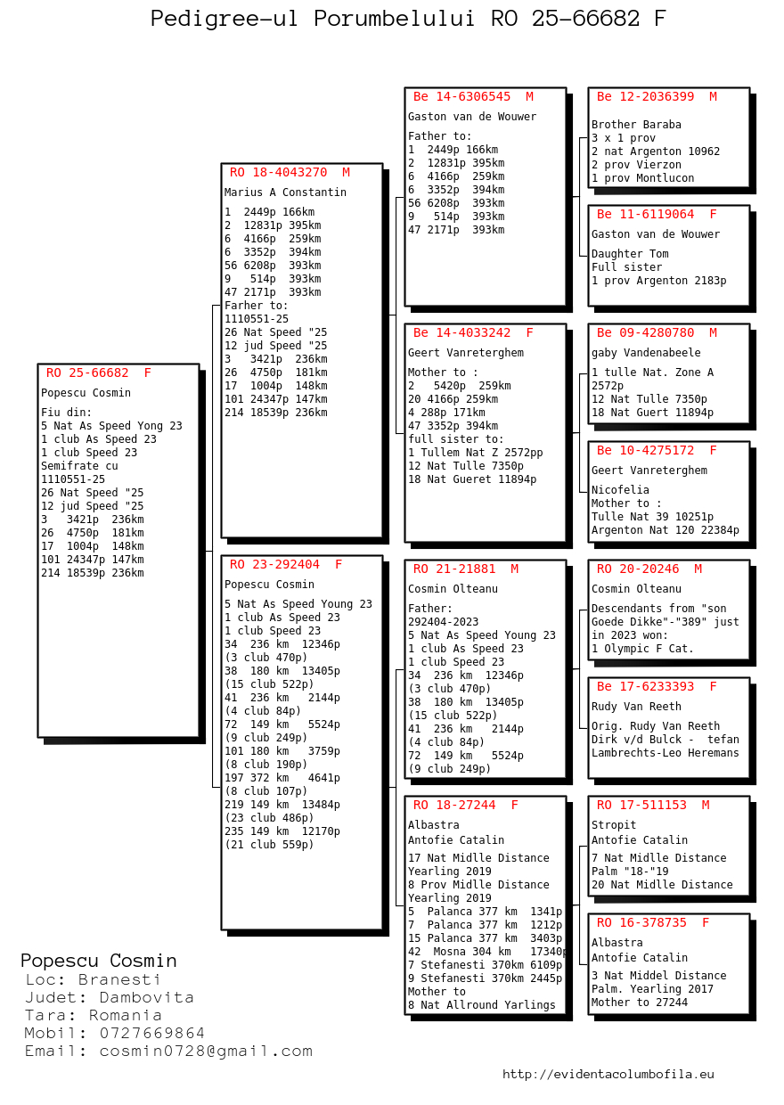 66682-25 fiu / fiica loc 5 National AS Viteza Pui 2023