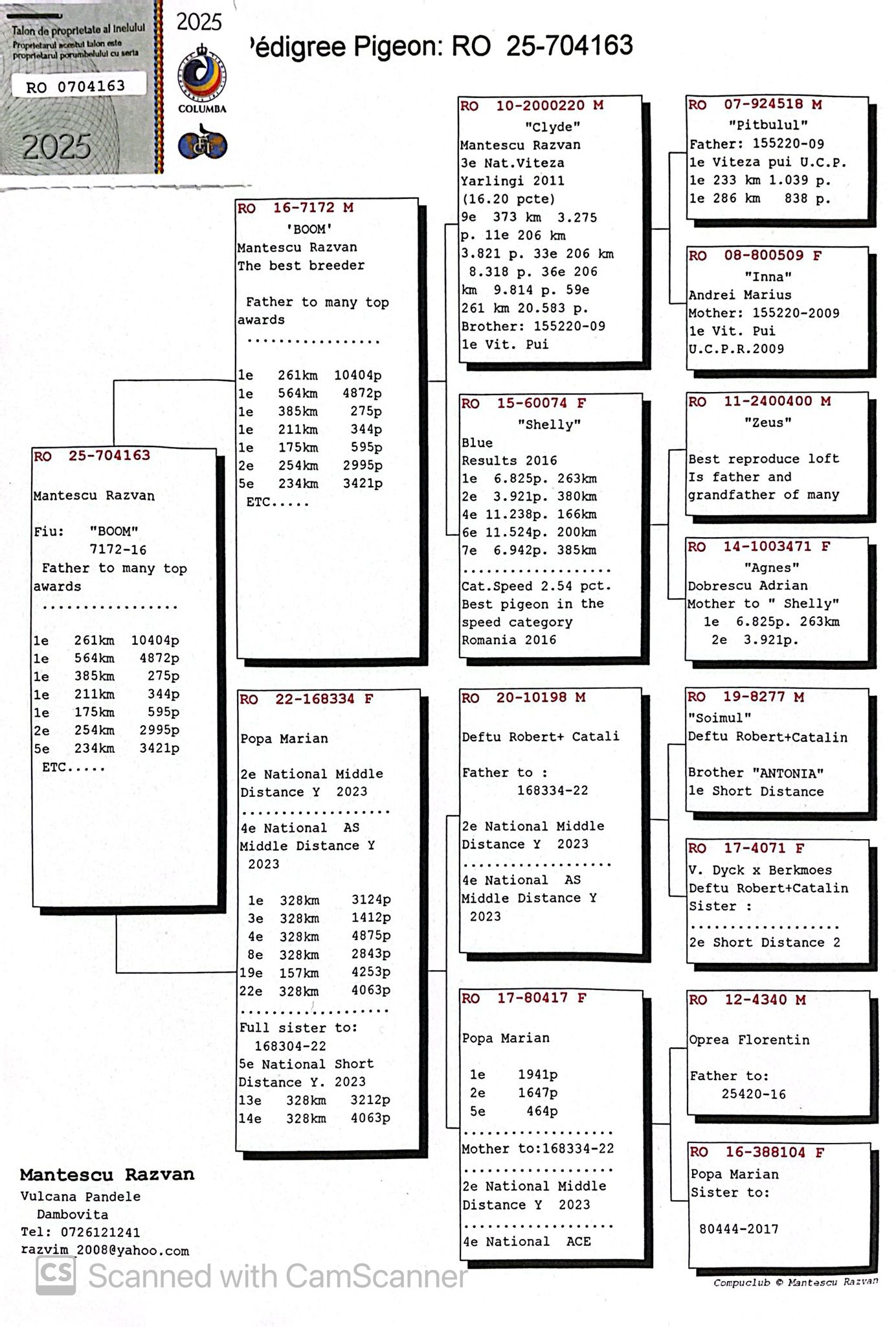 704163-25 fiu Boom, reproducator de Top!