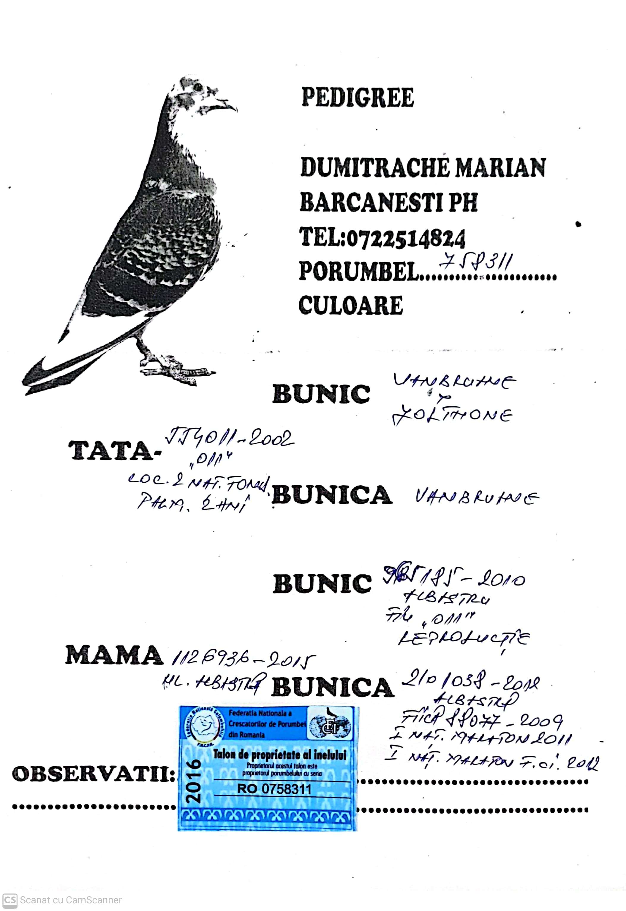 758311-16 M orig. Dumitrache Marian, fiu Unsparul, loc 2 National Fond Palmares 2 ani