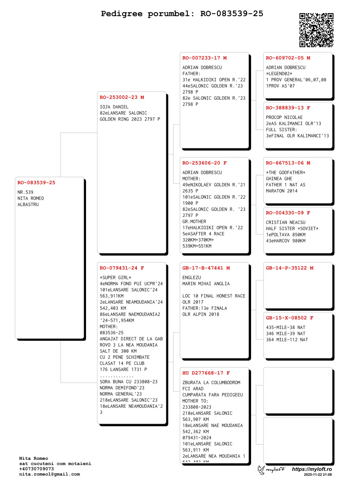 83539-25 M fiu loc 82 Salonic Golden Ring 2023