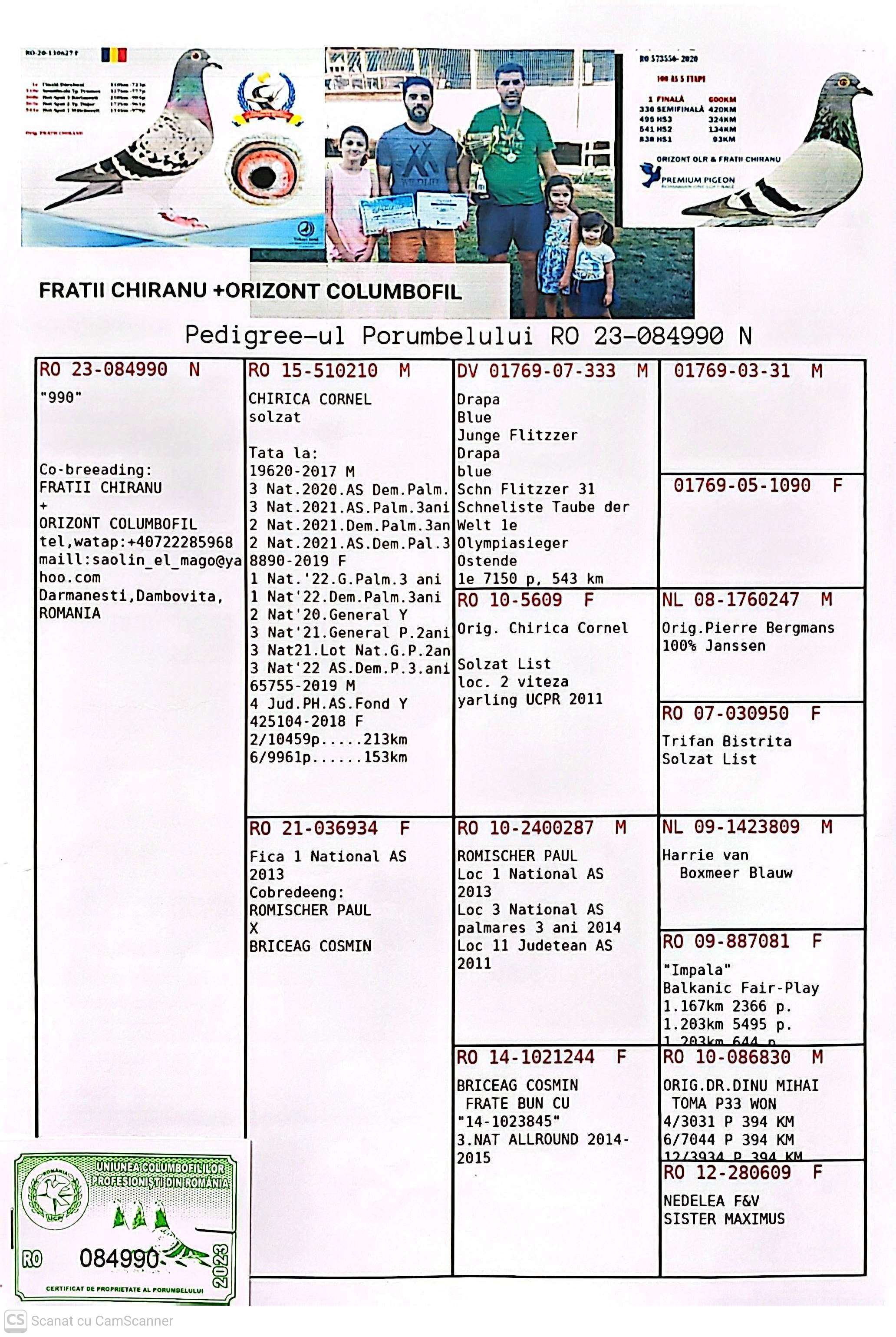 84990-23 M orig. Fratii Chiranu + Orizont Columbofil, semi-frate loc 3 Nat. AS Demi-Fond Palm.