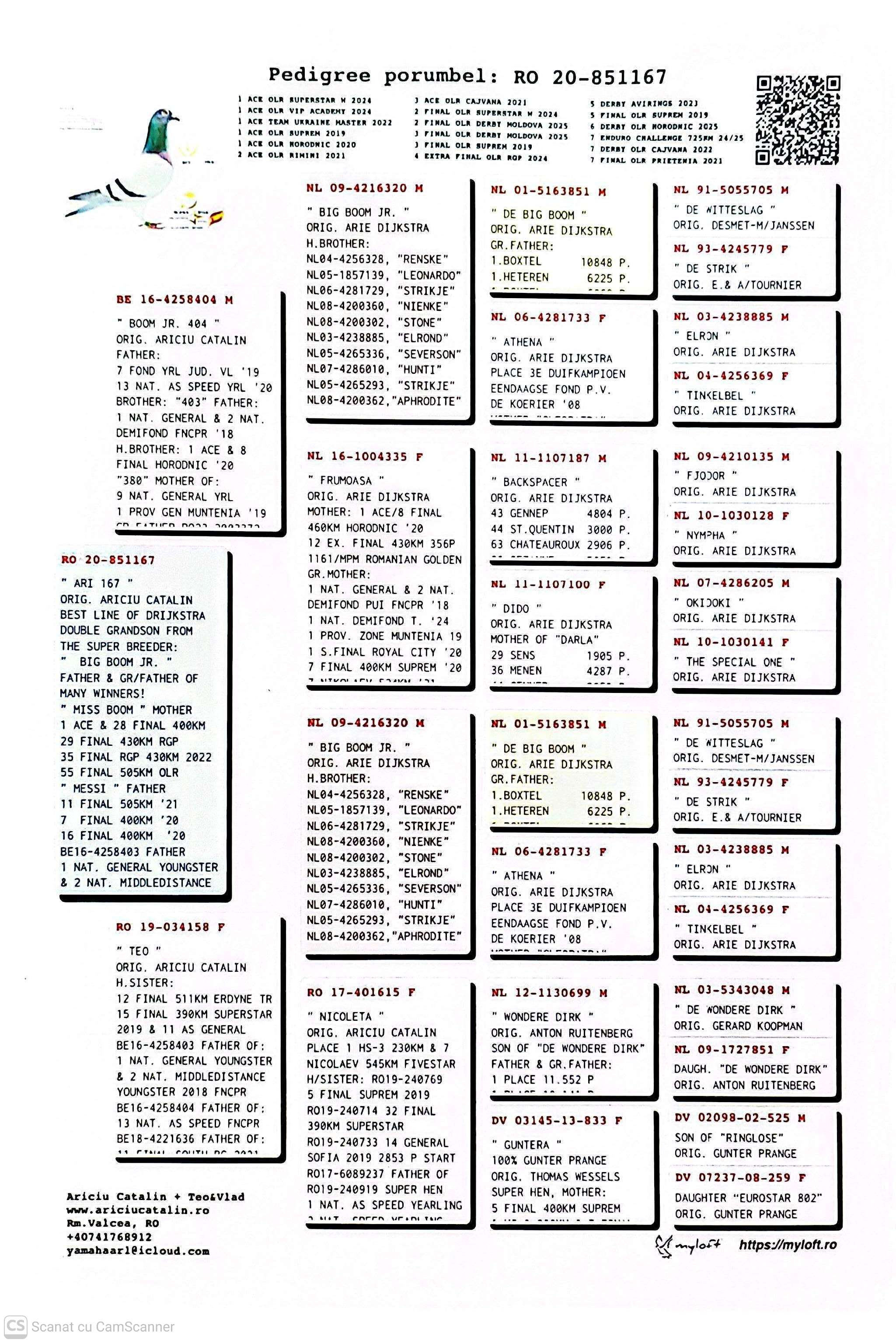 851167-20 M  orig. Ariciu Catalin, consangvin Big Boom Jr.