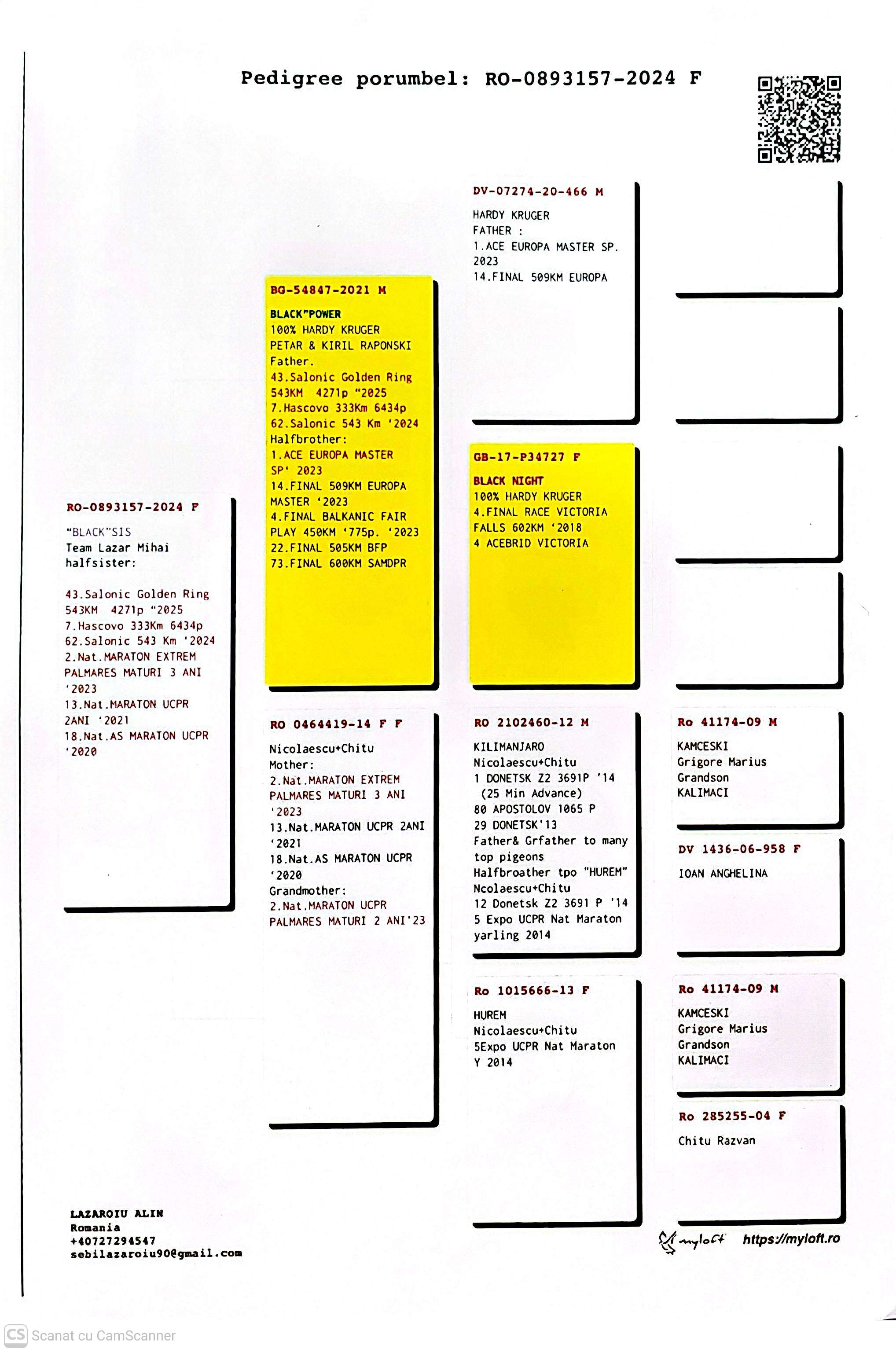 893157-24 F semi-sora loc 43 Salonic Golden Ring 2025
