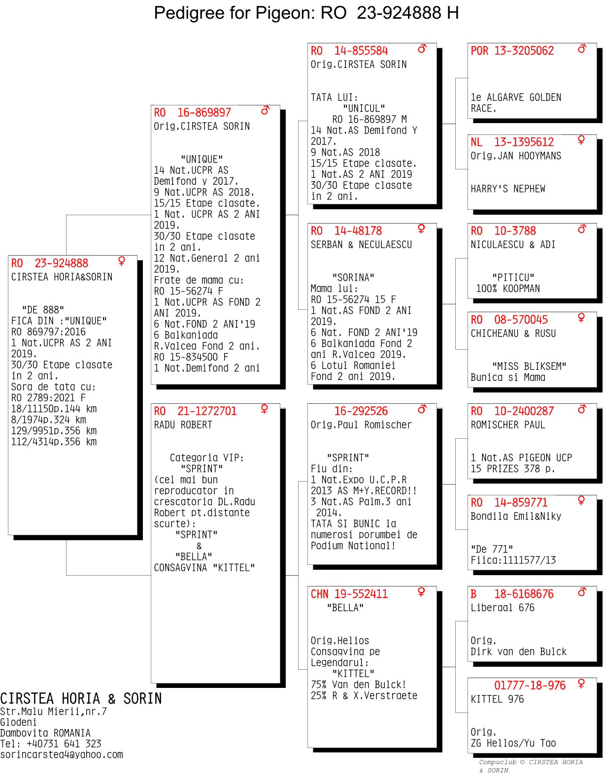 924888-23 fiu/fiica loc 1 National UCPR AS 2 ani 2019