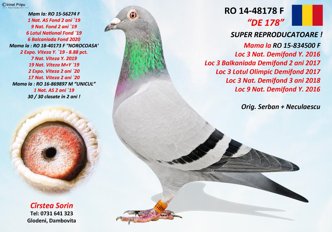930947-25 nepot/a loc 27 Nat.Viteza 2025, loc 20 Nat. AS Viteza 2025