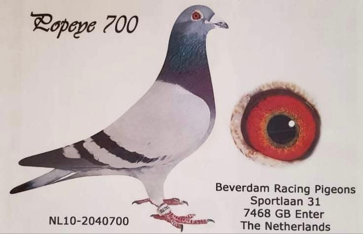 930951-25 nepot/a loc 1 Boxtel Kring 1 16.865p