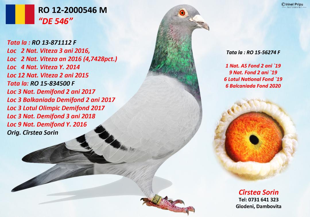 930958-25 frate loc 11 Expo. Demifond 2 ani 2023, loc 5 AS Viteza Y.'22
