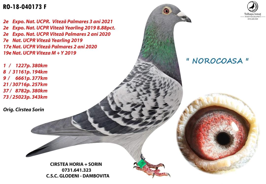 930962-25 nepoata Norocoasa, loc 2 Expo. UCPR viteza Y. 2019