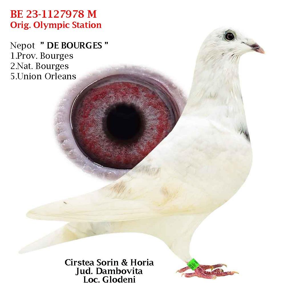 930968-25 nepoata loc 1 National AS Fond 2 ani 2019