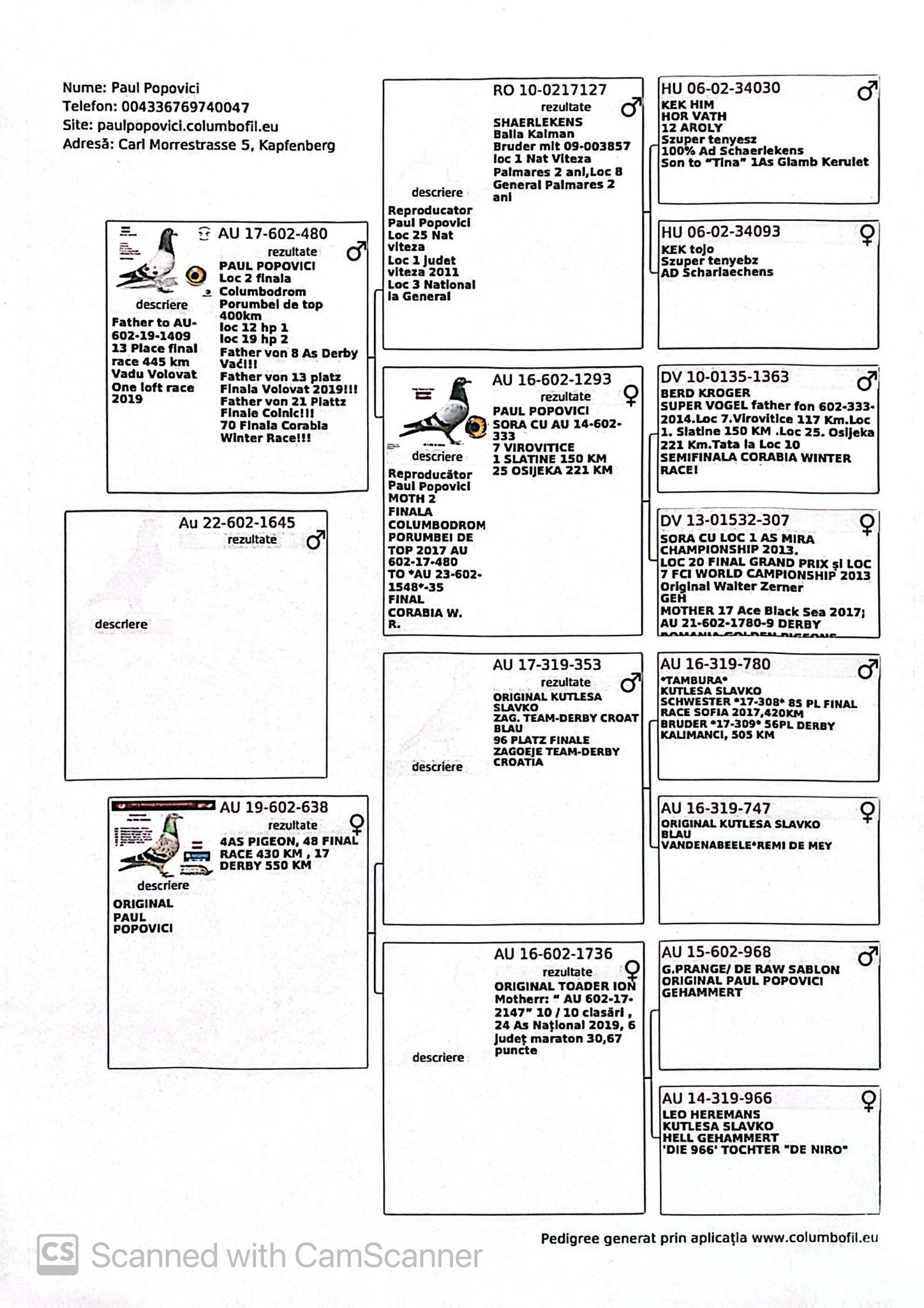 AU 602-22-1645 M orig. Paul Popovici, fiu loc 2 Finala Porumbei de Top OLR