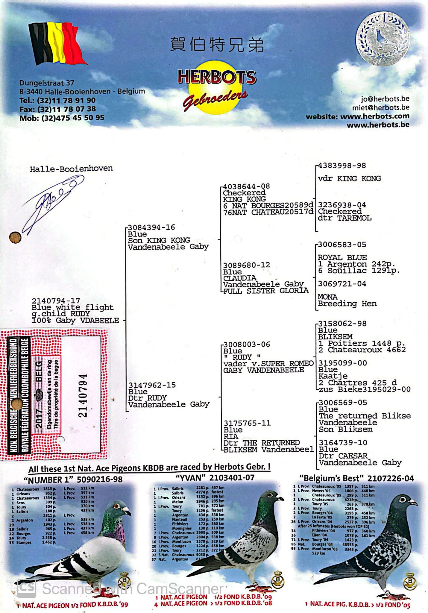 BE 2140794-17 M orig. Herbots, nepot Rudy, King Kong